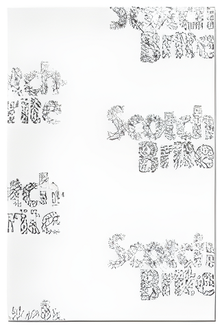 Scotch-Brite Professional Light Duty Cleansing Pads, Includes 3 Packs of 20 Pads/Pack, 60 Pads Total