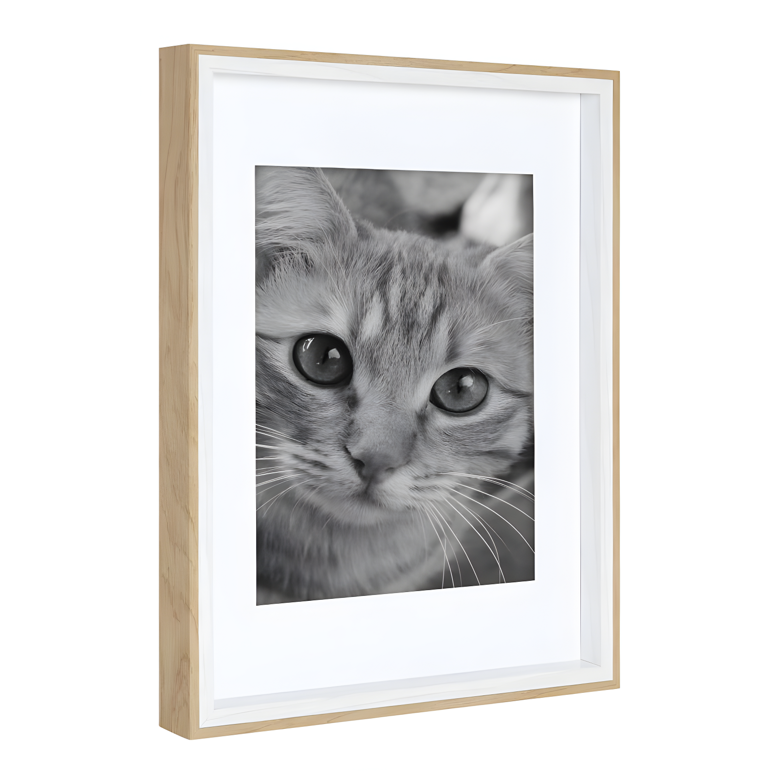 Emani Picture Frame - Set of 10 with Mat