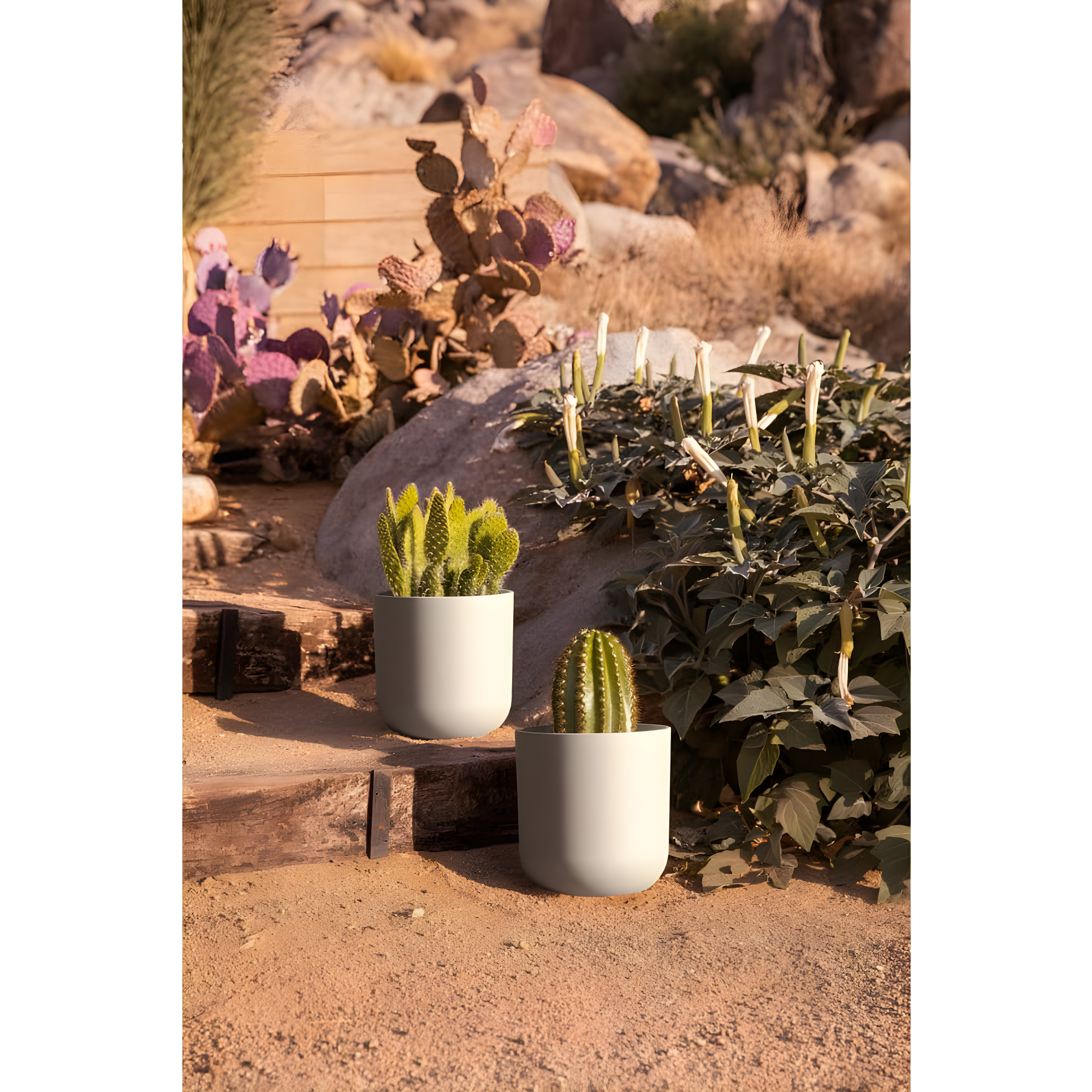 Mason Series Kona Planter