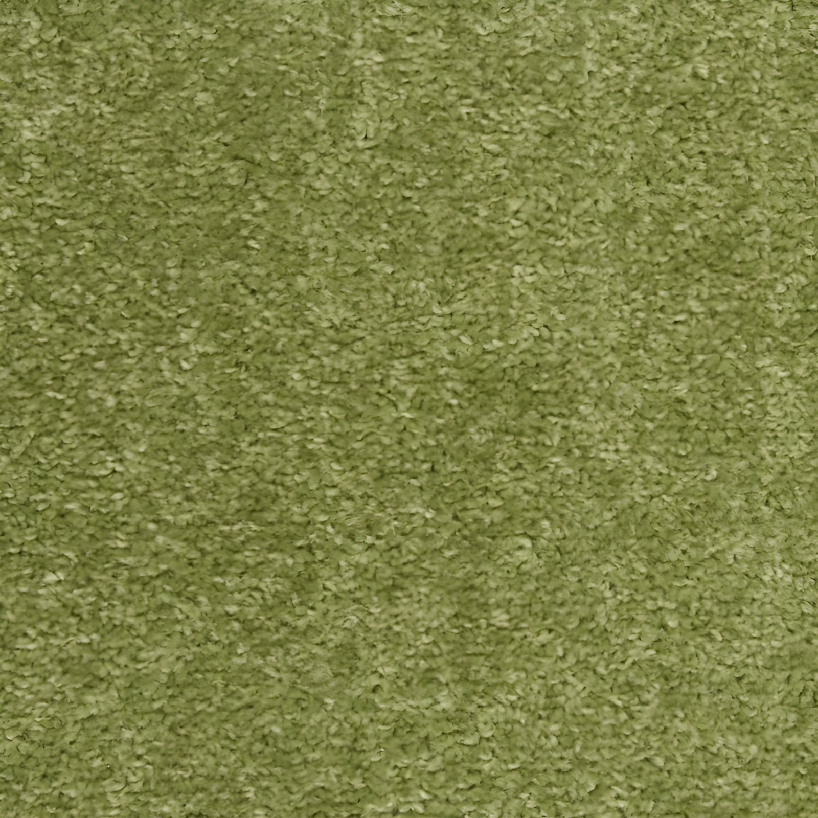 Nourison Nourison Essentials NRE01 Indoor/outdoor Area Rug - Green 2' x 4'