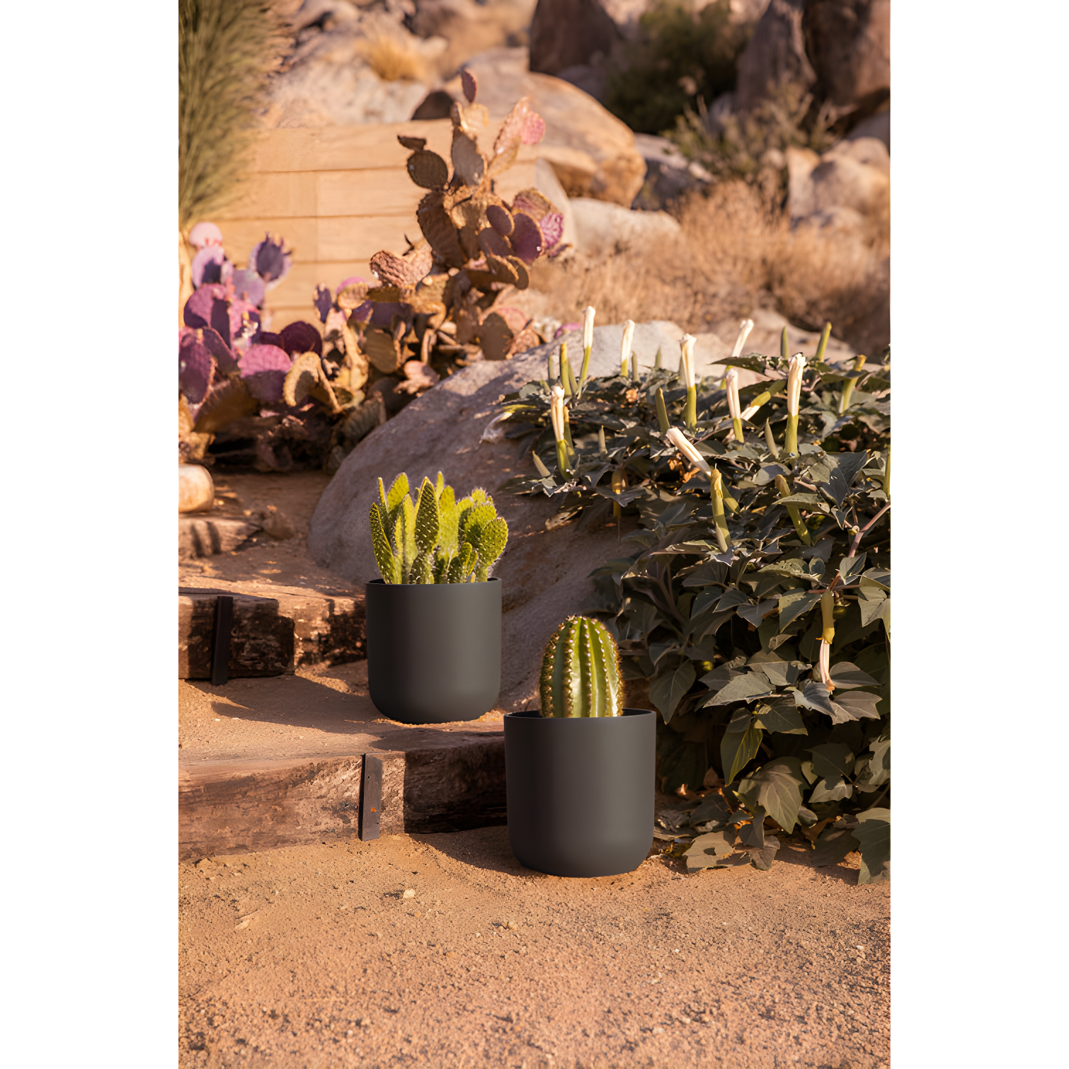 Mason Series Kona Planter