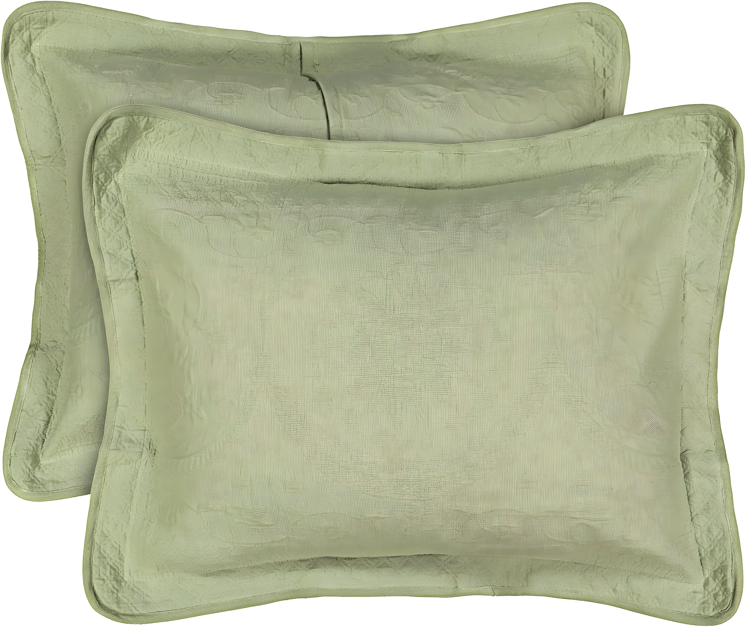 Historic Charleston Charles Cotton Pillow Sham