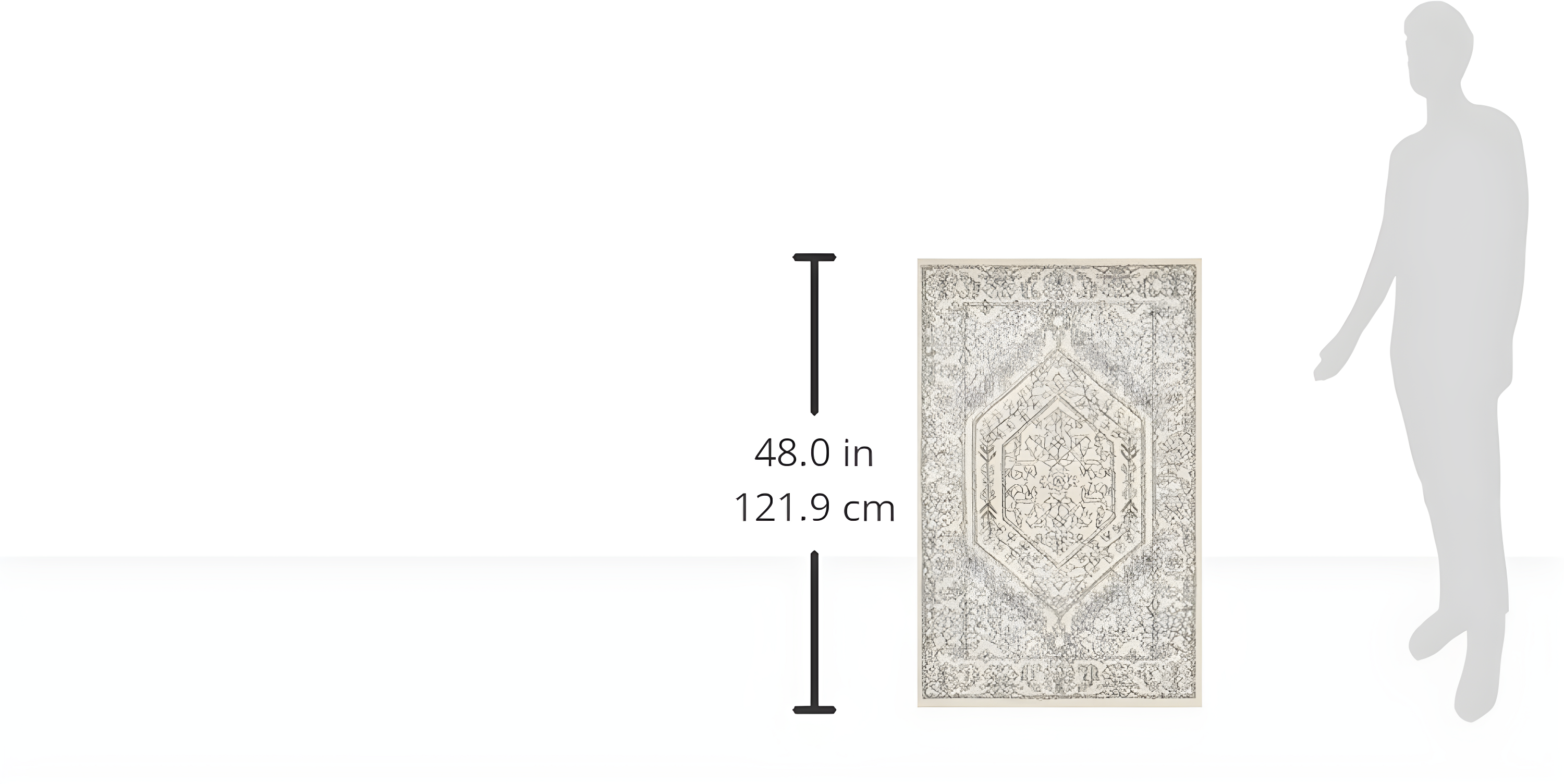 Adirondack ADR108 Power Loomed Accent Rug - Ivory/Silver - 2'6"x4' - Safavieh.