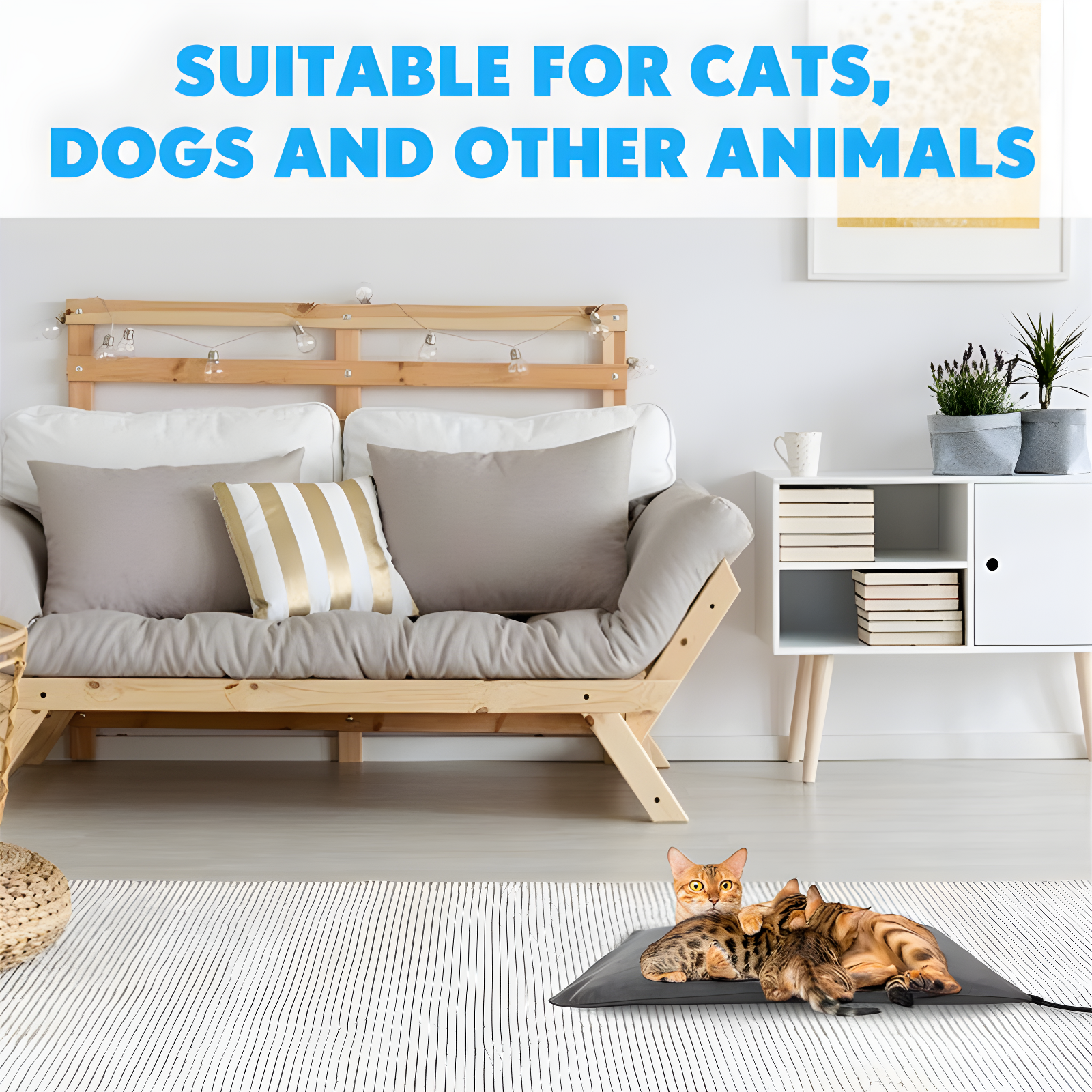 BTERAZ Velvet Pet Bed Accessory