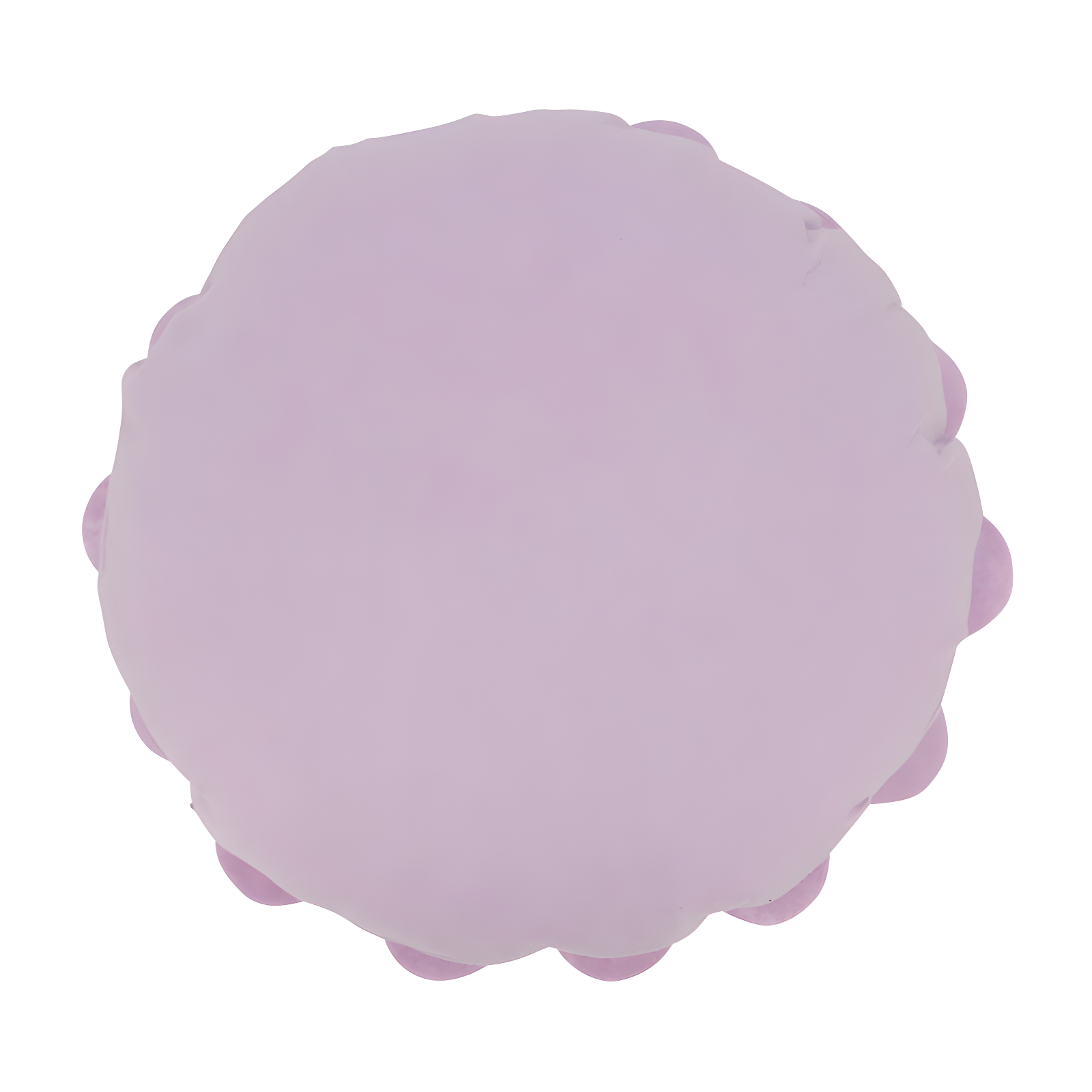 Flower Appliqued Felt Throw Pillow