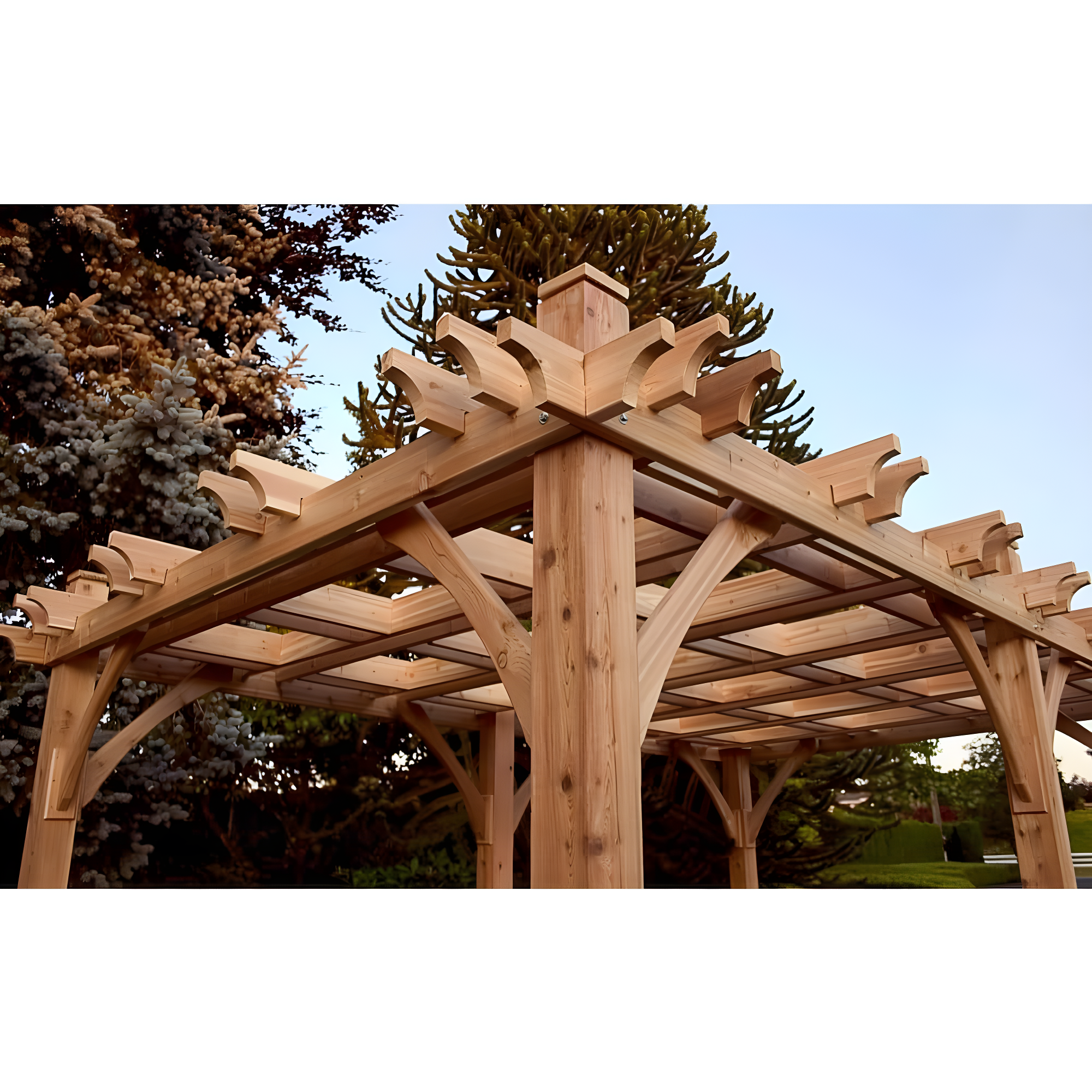 Outdoor Living Today Breeze Solid Wood Pergola