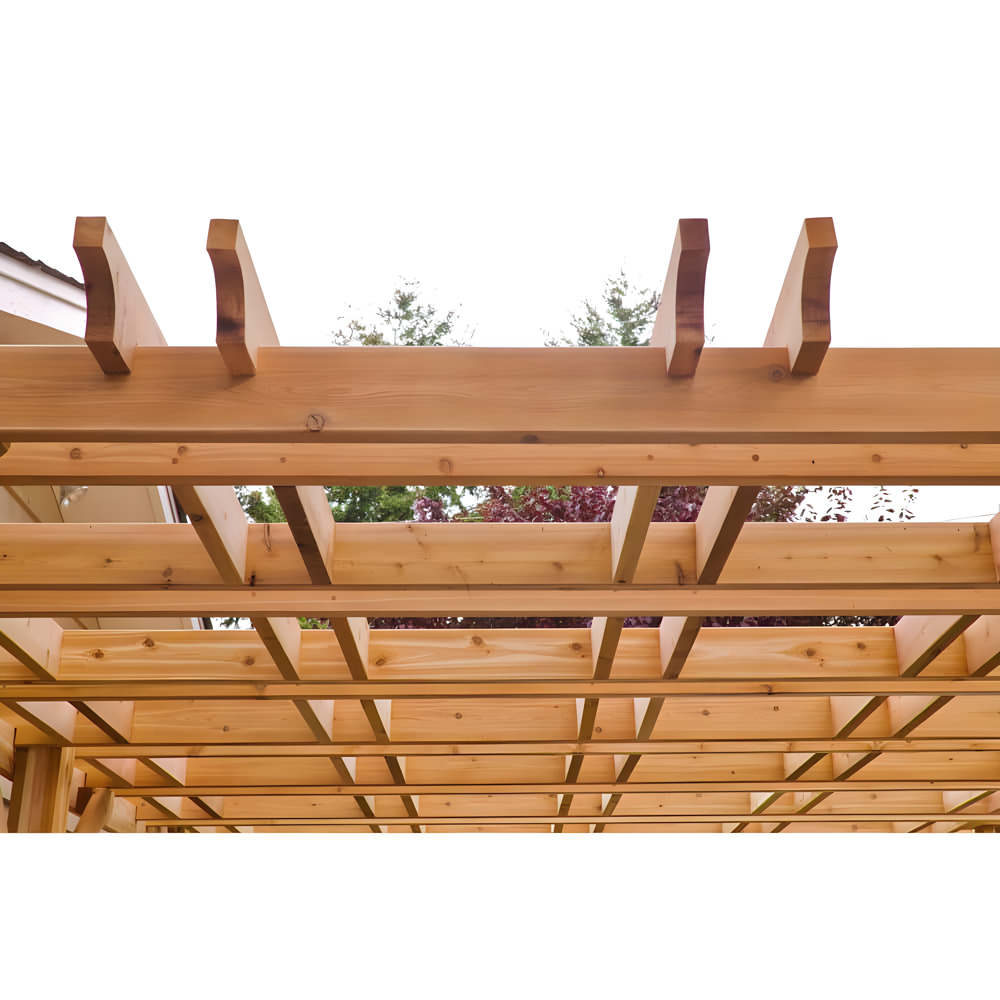 Outdoor Living Today Breeze Solid Wood Pergola