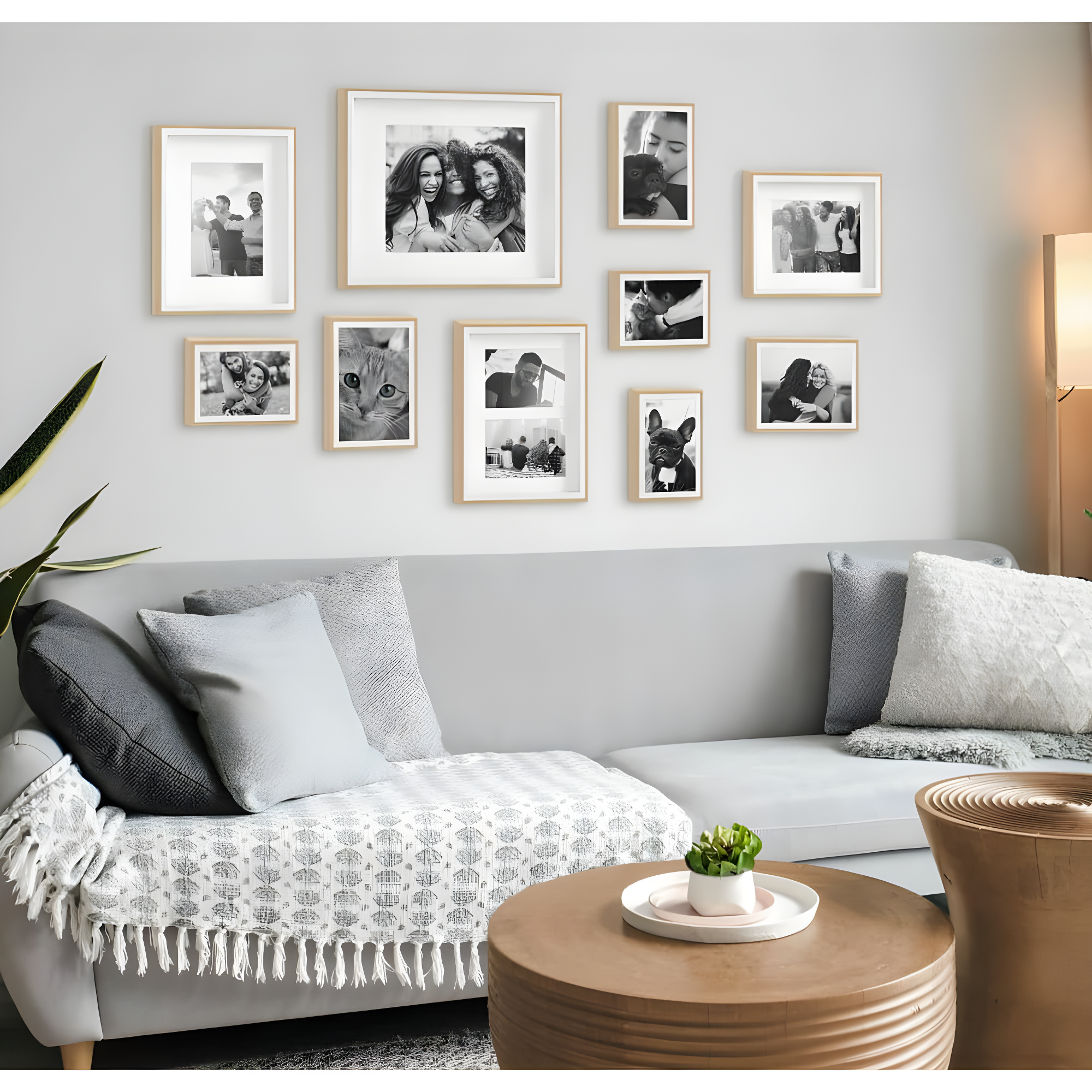 Emani Picture Frame - Set of 10 with Mat