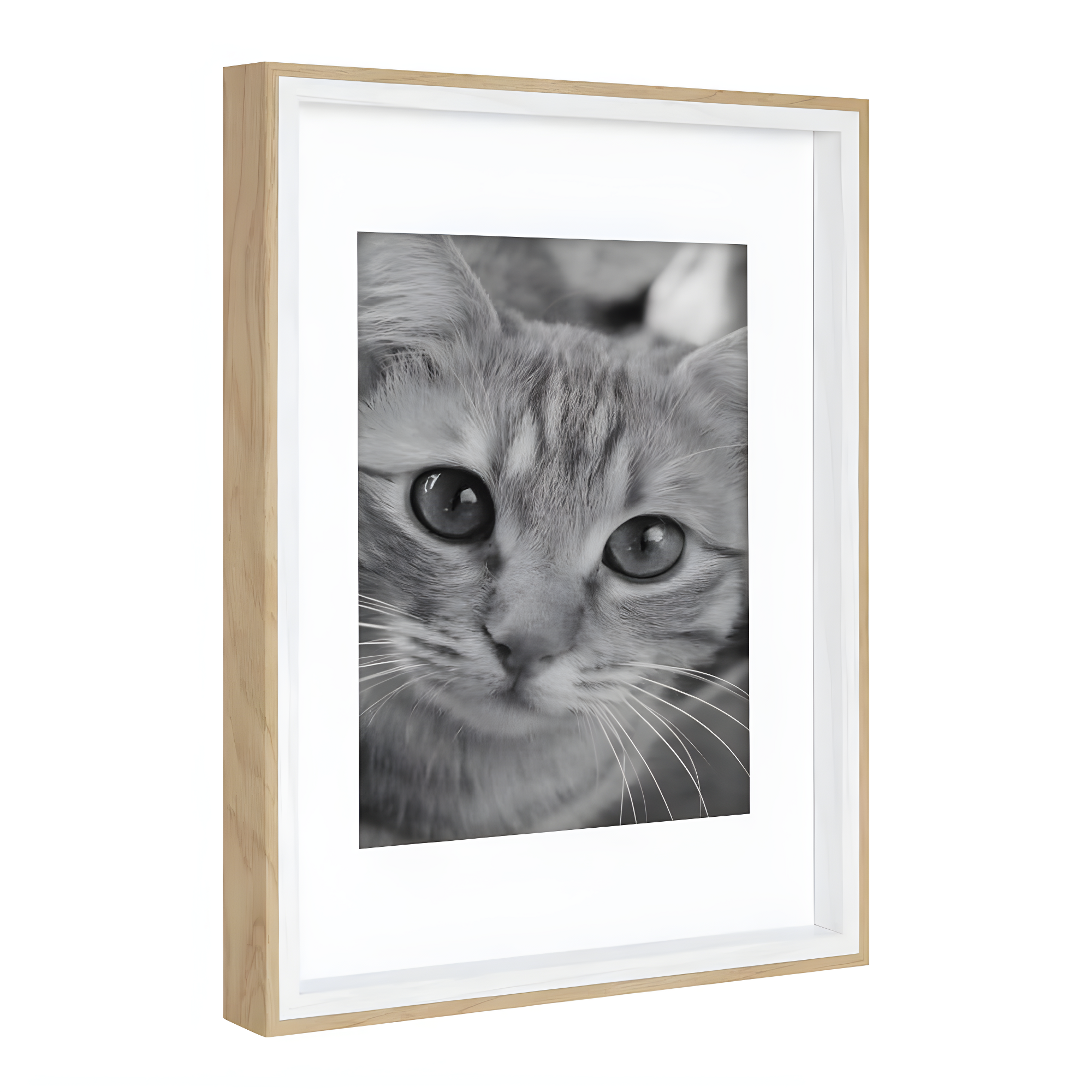 Emani Picture Frame - Set of 10 with Mat