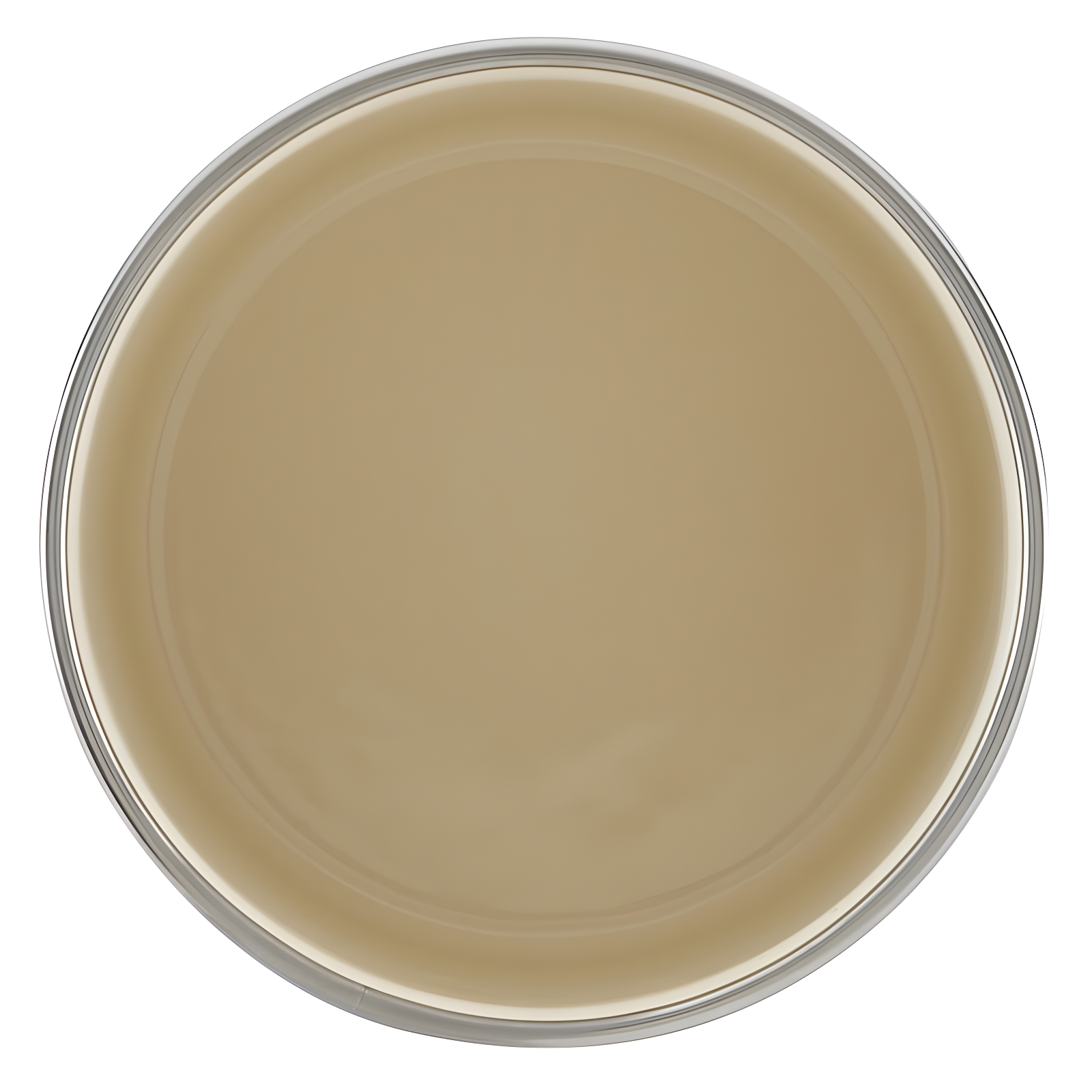 Ayesha Curry Ayesha Curry Enamel on Steel Bacon Grease Can, 4-Inch x 4-Inch