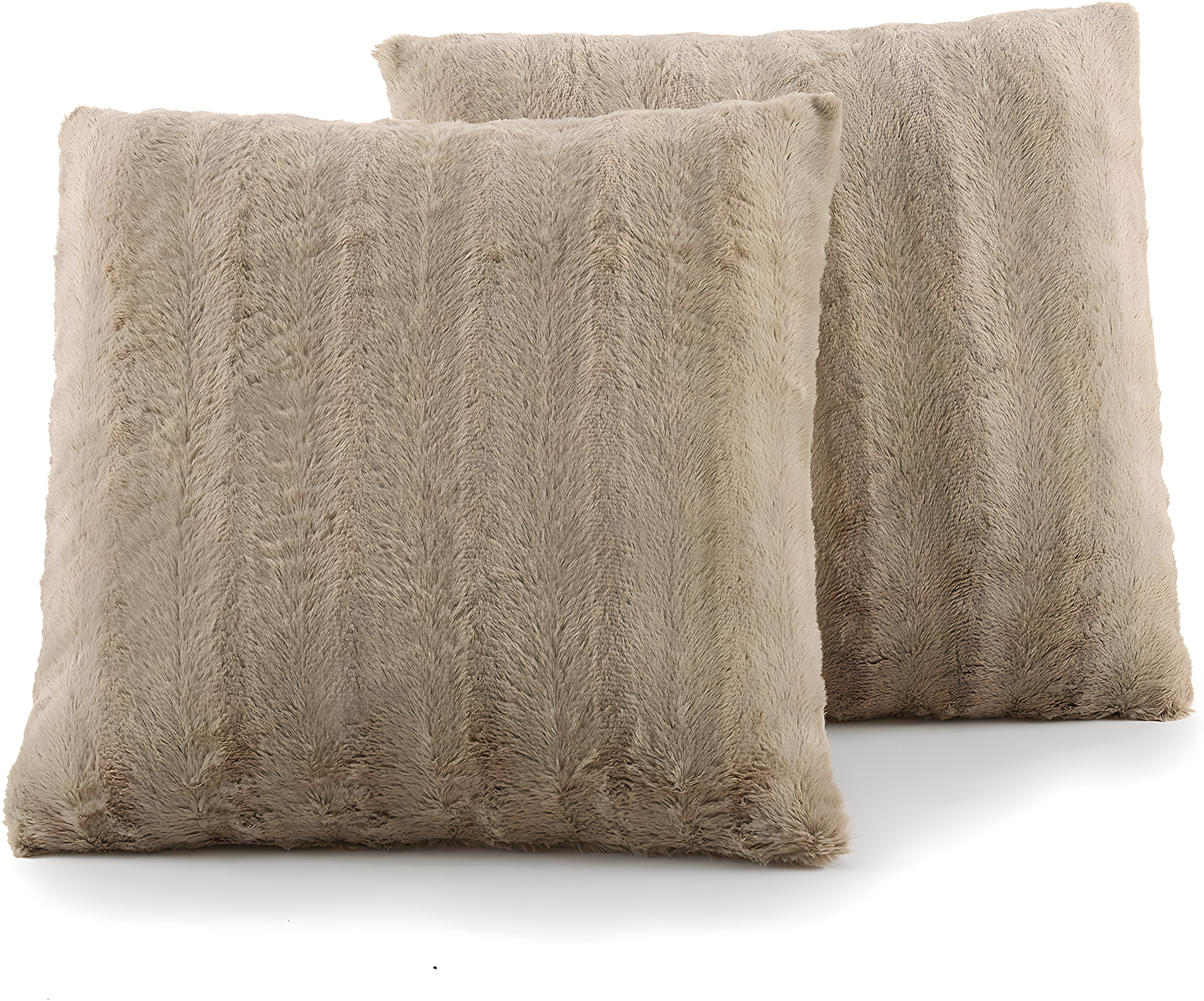 Cheer Collection FRBIN Square Pillow Cover & Insert (Set of 2)