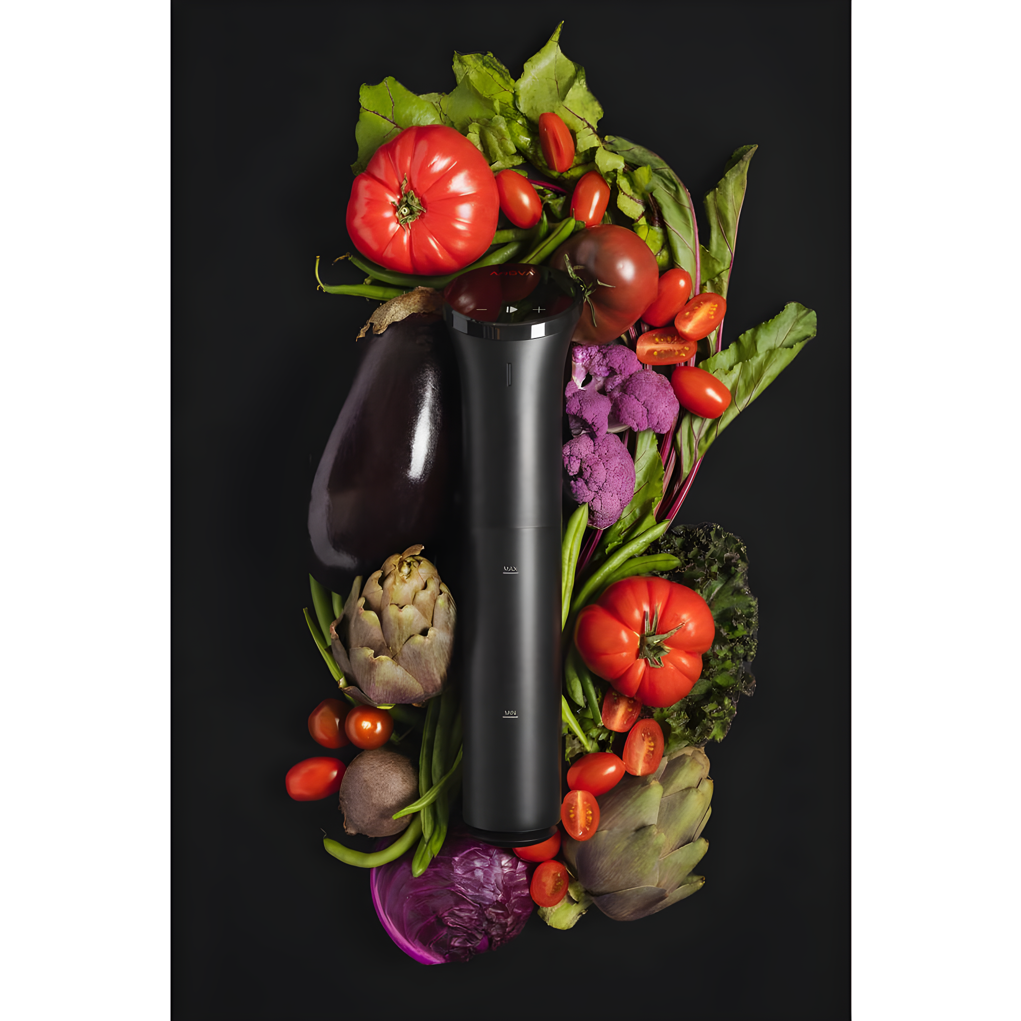 Anova Culinary Sous Vide Precision Cooker Nano 3.0, 800 watts