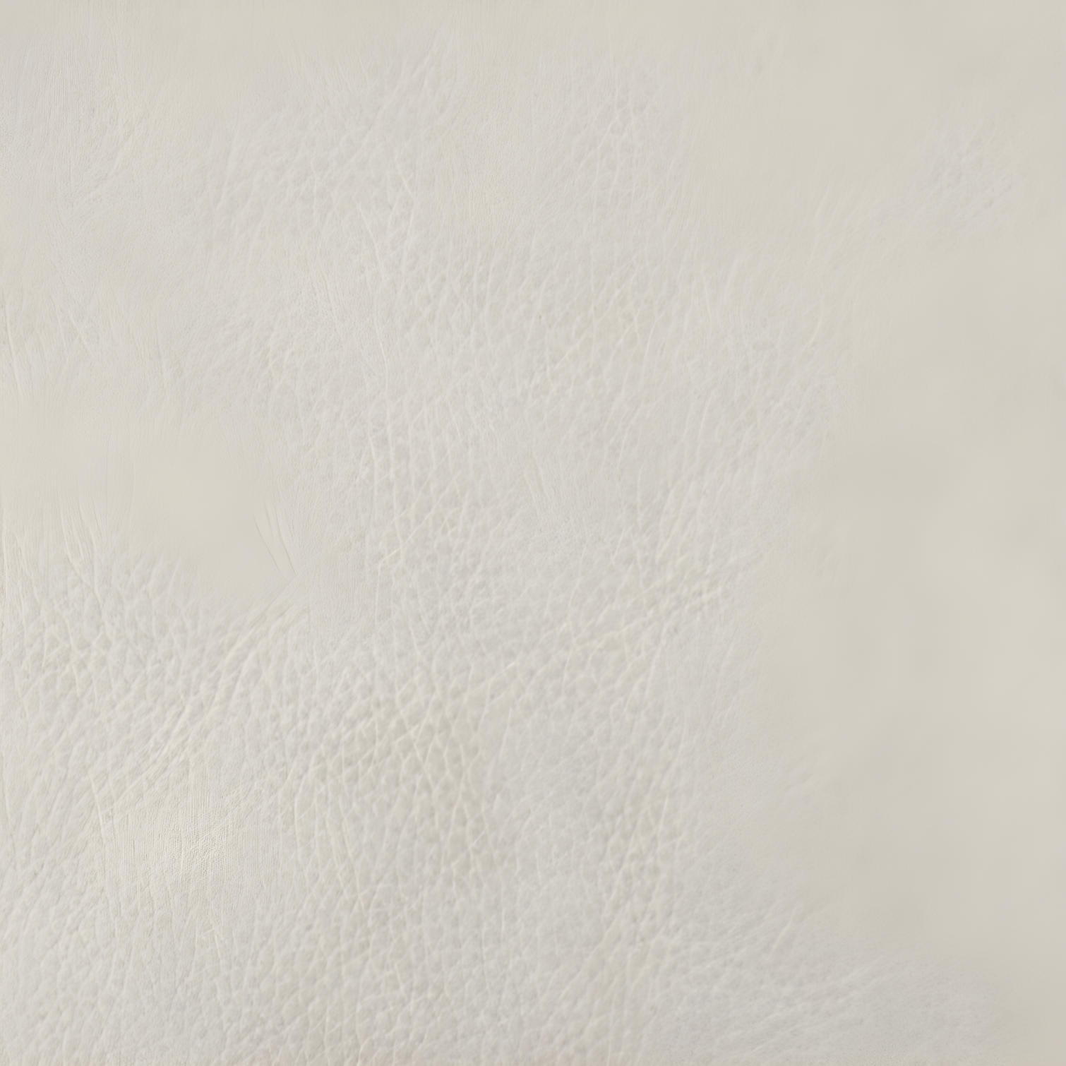 Molise 71'' Genuine Leather Sofa