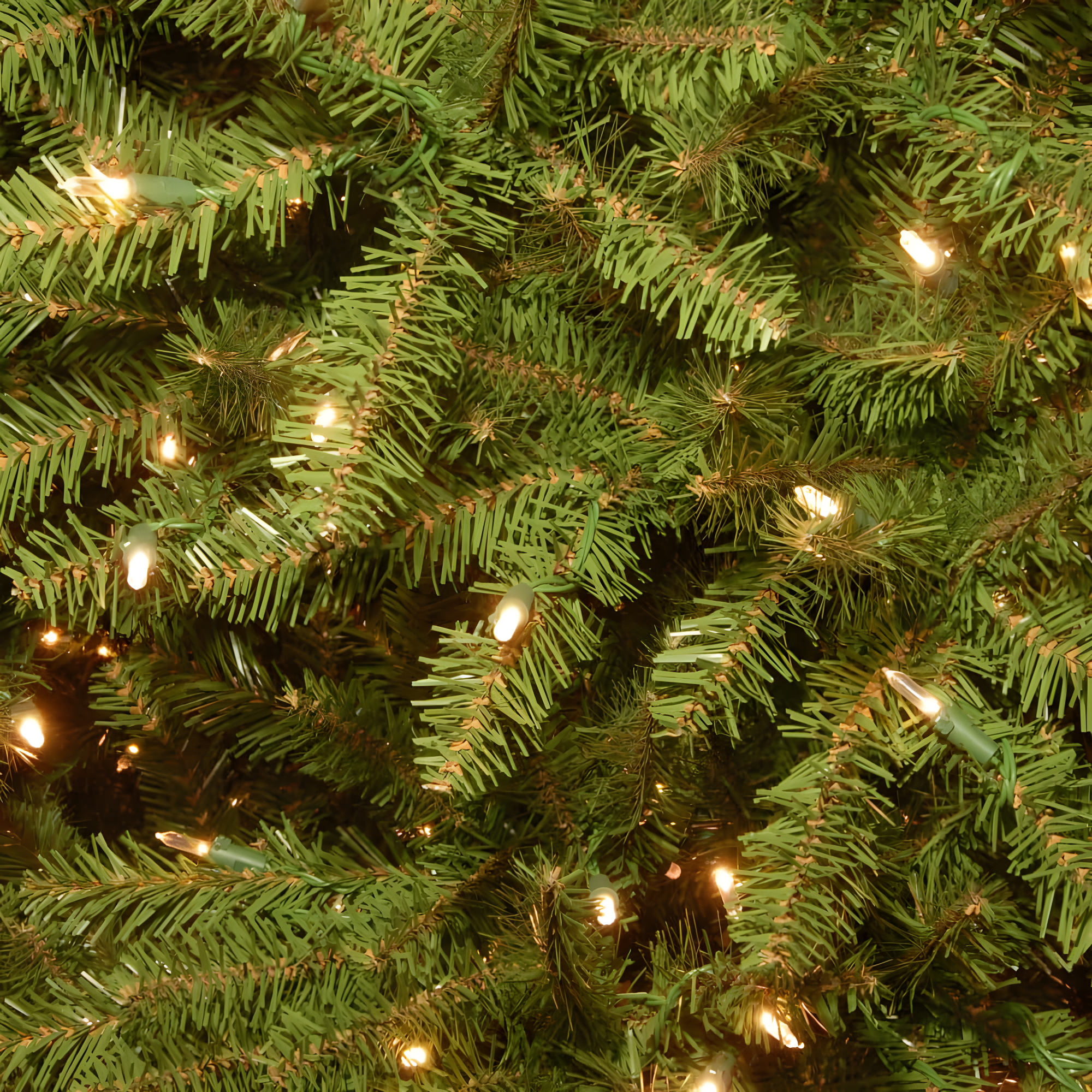 National Tree Company Pre-Lit Artificial Christmas Tree, Green, Clear Lights, Includes Stand, 10 Feet