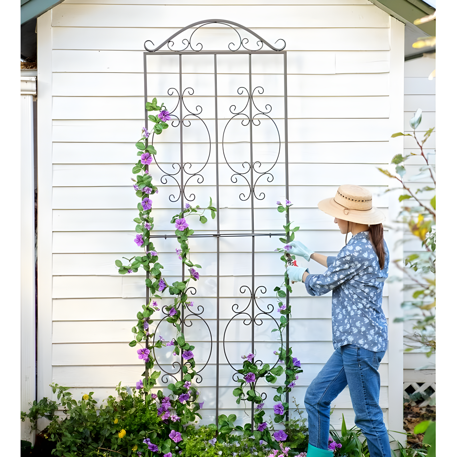 Plow & Hearth Montebello 109'' H x 32'' W Iron Gothic Trellis