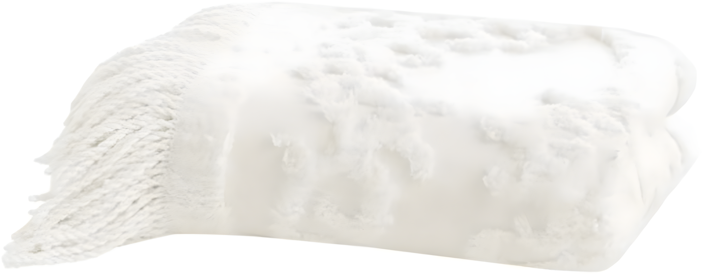 Madison Park Chloe 100% Cotton Tufted Chenille Lightweight Throw With Fringe Tassel