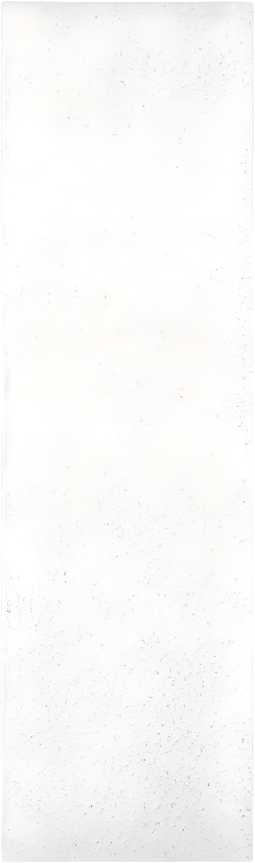 August Shag 900 AUG900 Power Loomed Indoor Runner Rug - White - 2'3"x6' - Safavieh