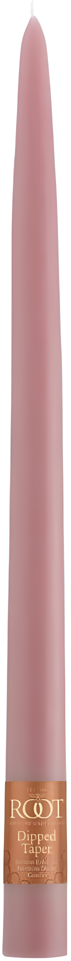 12 Piece Unscented Taper Candle Set