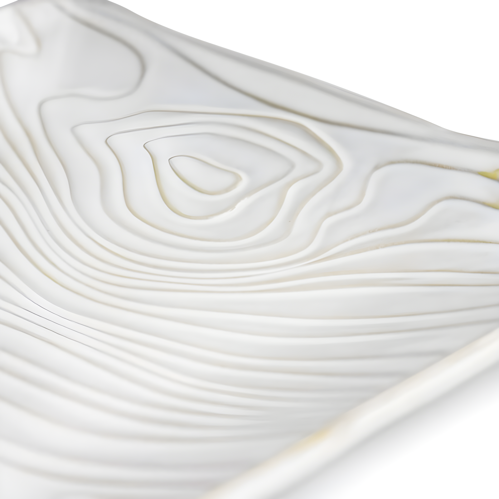 Martha Stewart Serving Platter