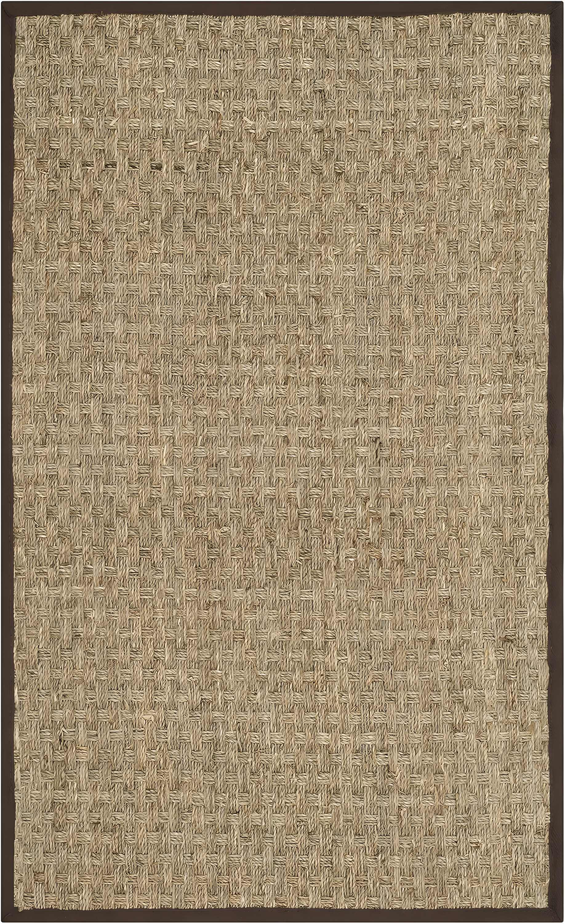 Natural Fiber NF114 Power Loomed Indoor Accent Rug - Natural/Dark Brown - 2'6"x4' - Safavieh.