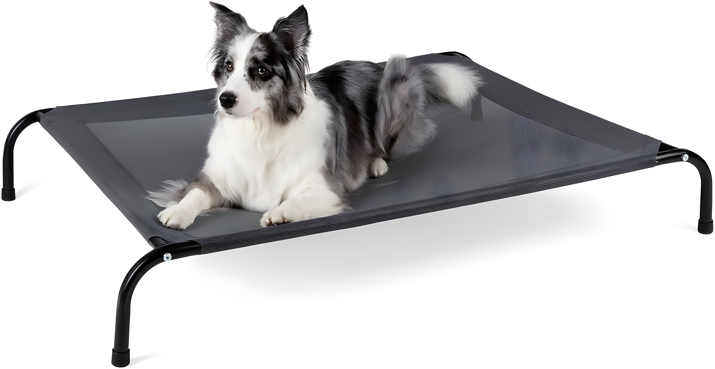 Tucker Murphy Pet™ 49 inches Dog Bed Cot for Large Dogs, Outdoor Raised Dog Bed