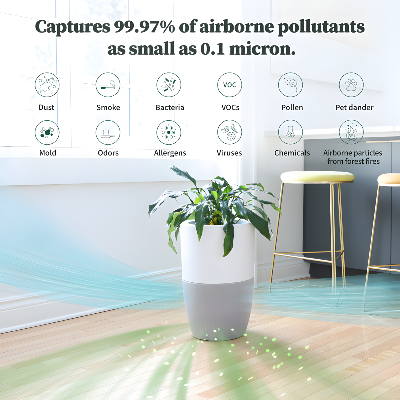 Dupray Dupray Personal Air Purifier with True HEPA Filter for 1517 Cubic Feet