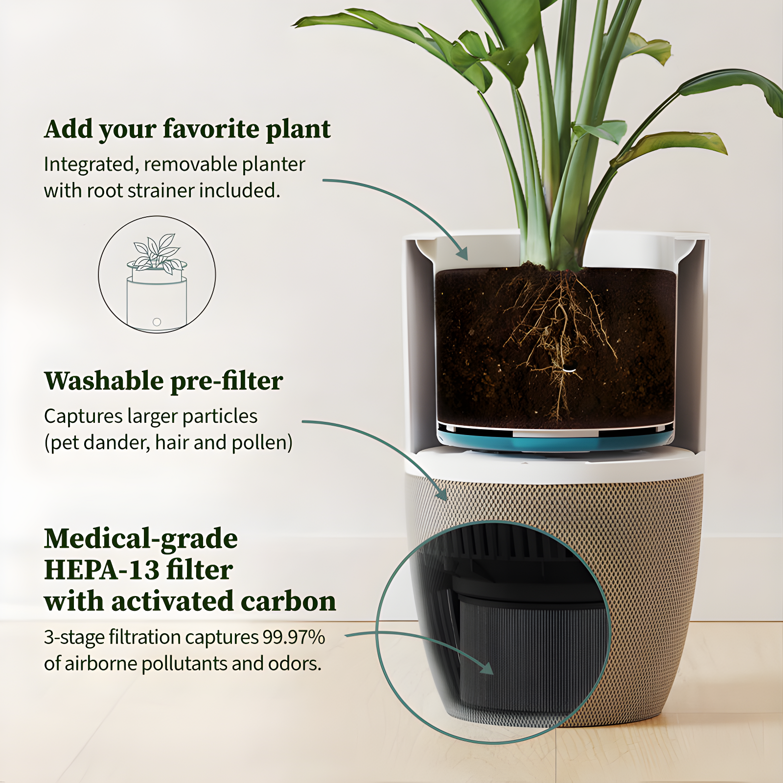 Dupray Dupray Personal Air Purifier with True HEPA Filter for 1517 Cubic Feet