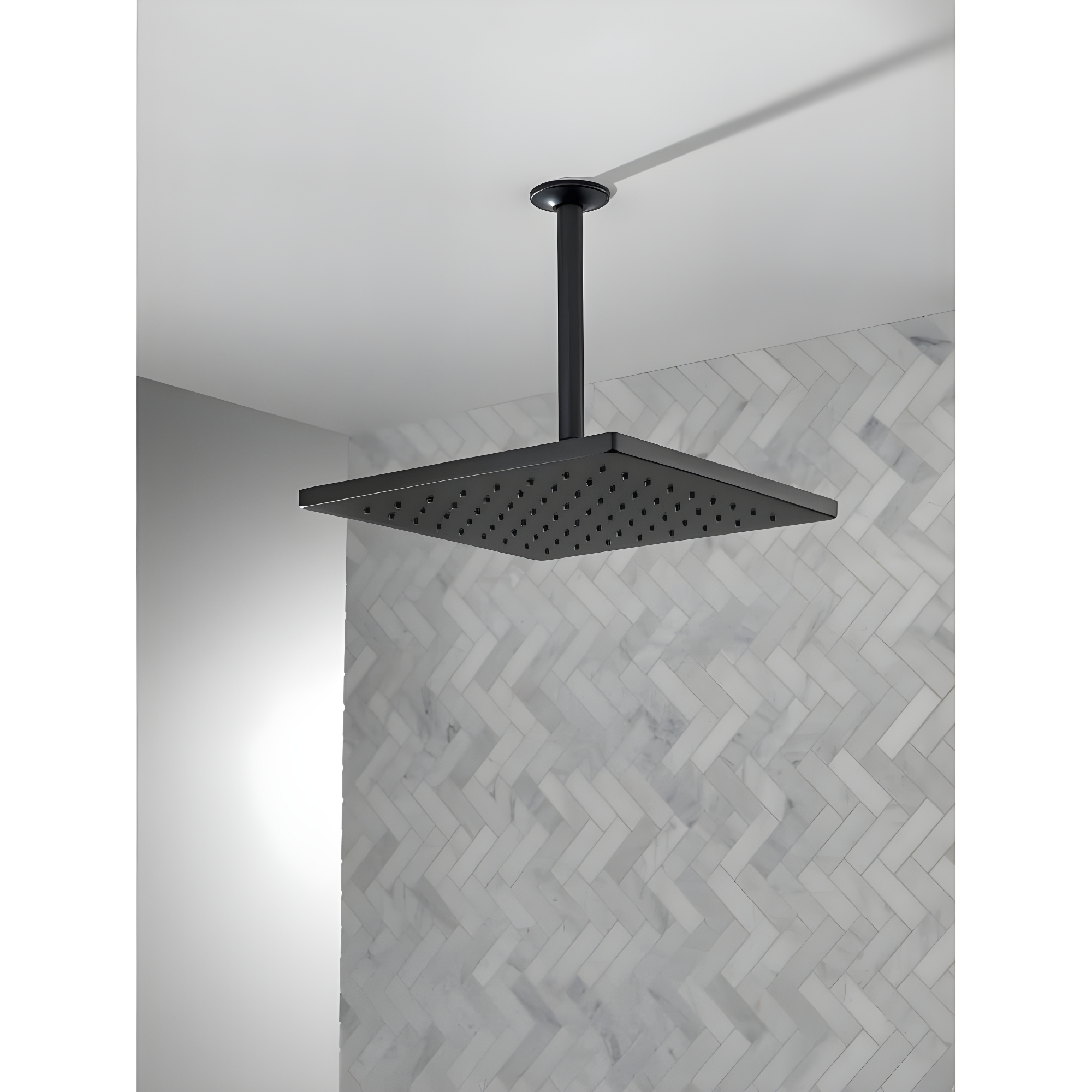 Delta Rain Adjustable Shower Head