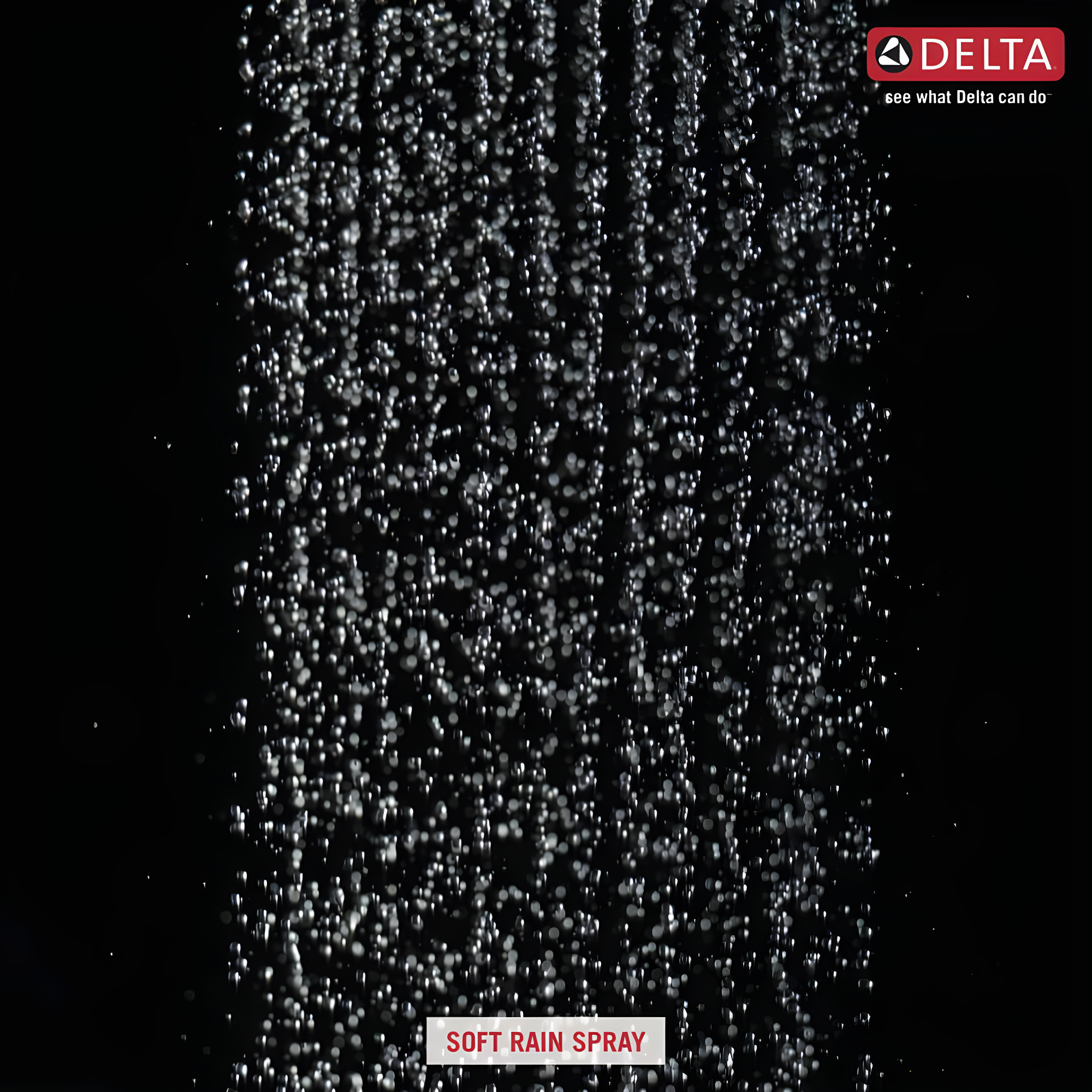 Delta Rain Adjustable Shower Head