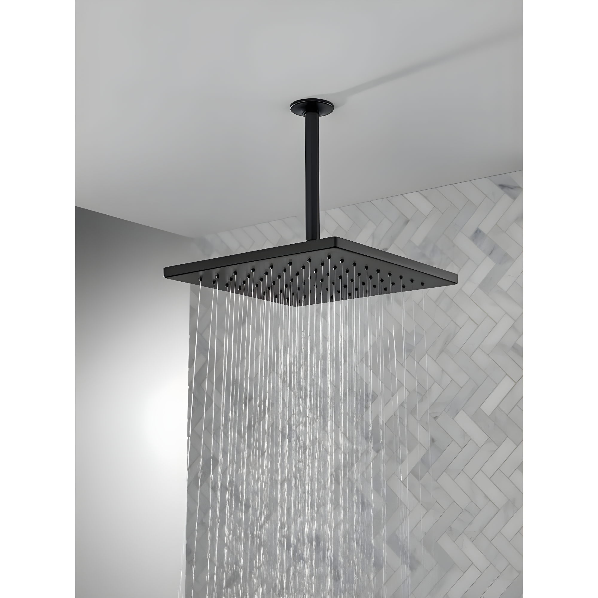 Delta Rain Adjustable Shower Head