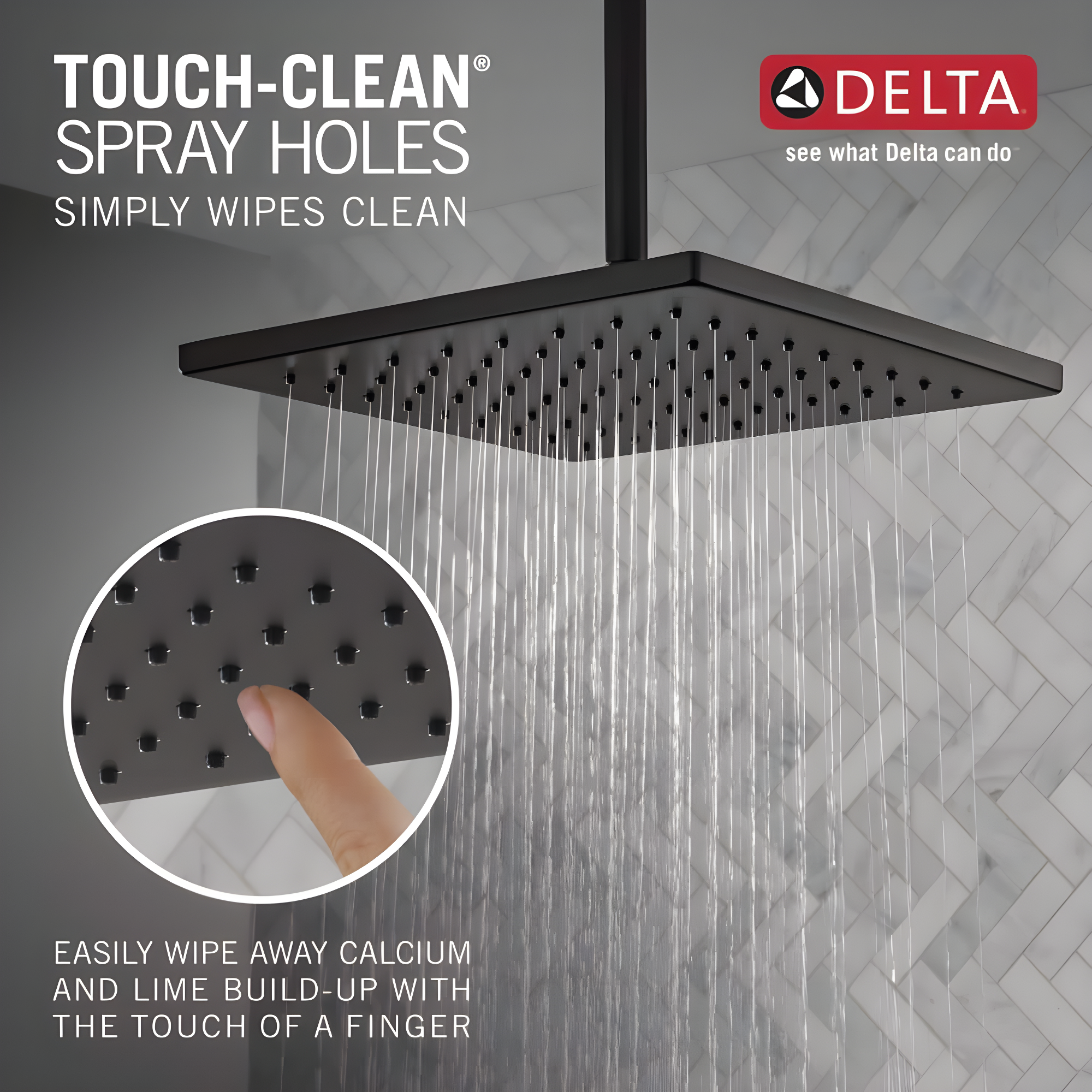 Delta Rain Adjustable Shower Head