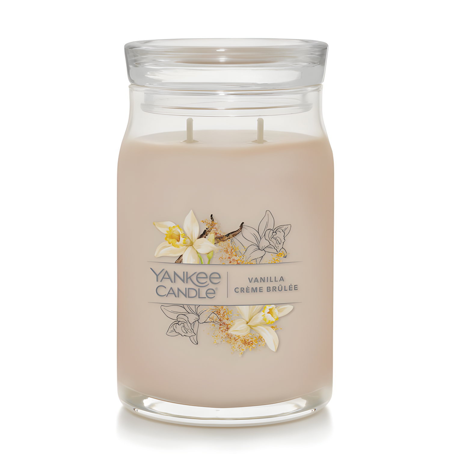 YANKEE CANDLE Signature Vanilla Crème Brulée Scented Candle