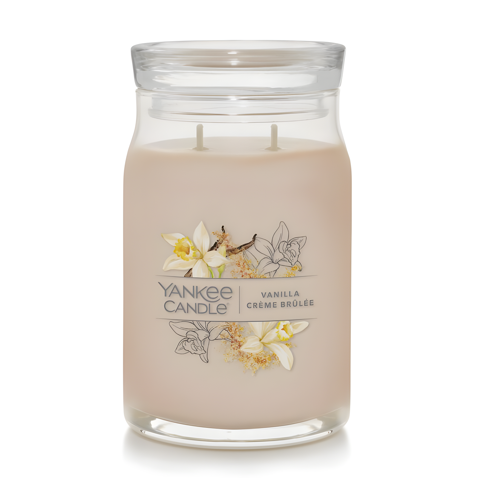 YANKEE CANDLE Signature Vanilla Crème Brulée Scented Candle