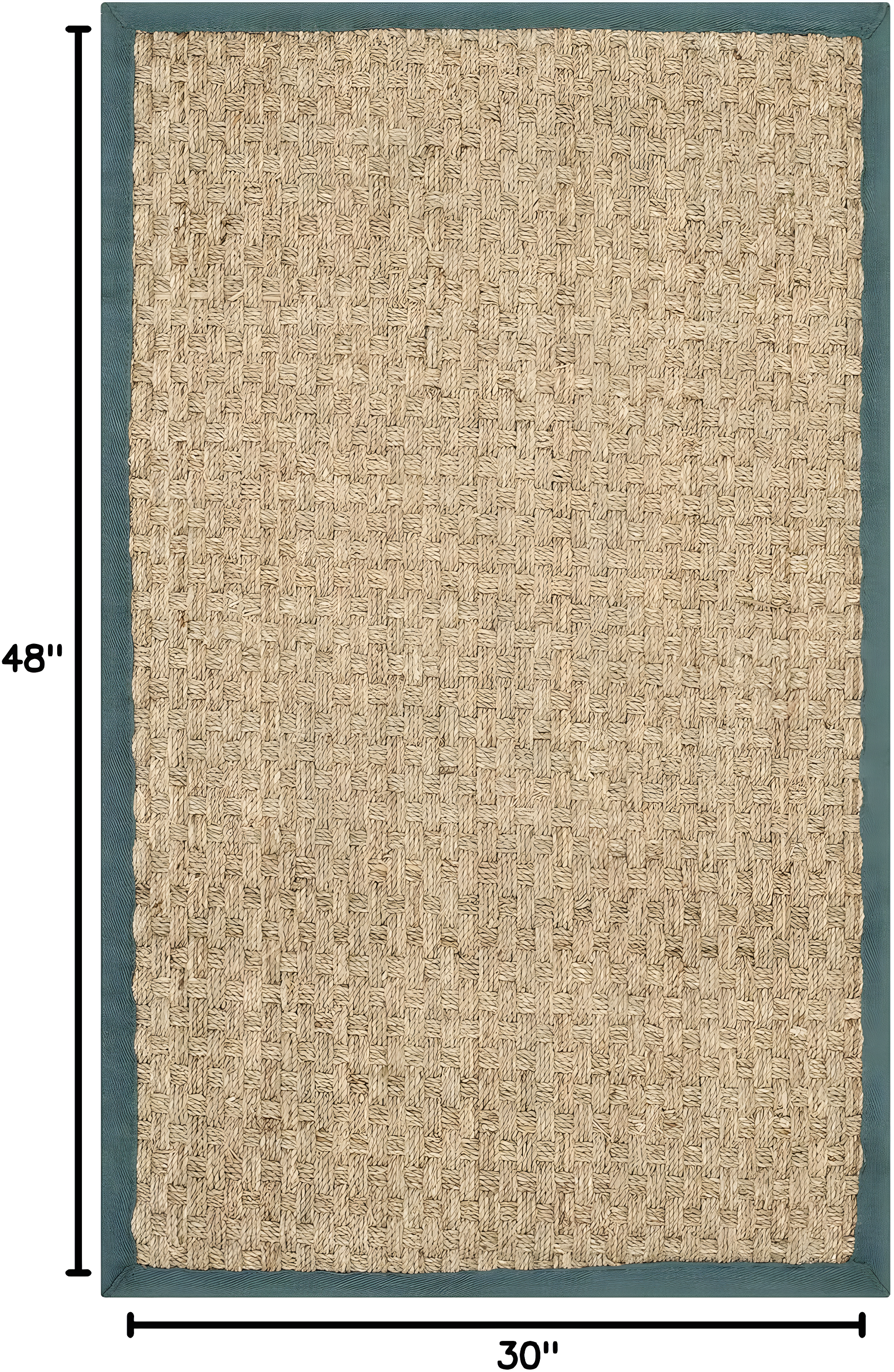 Natural Fiber NF114 Power Loomed Indoor Accent Rug - Natural/Light Blue - 2'6"x4' - Safavieh.