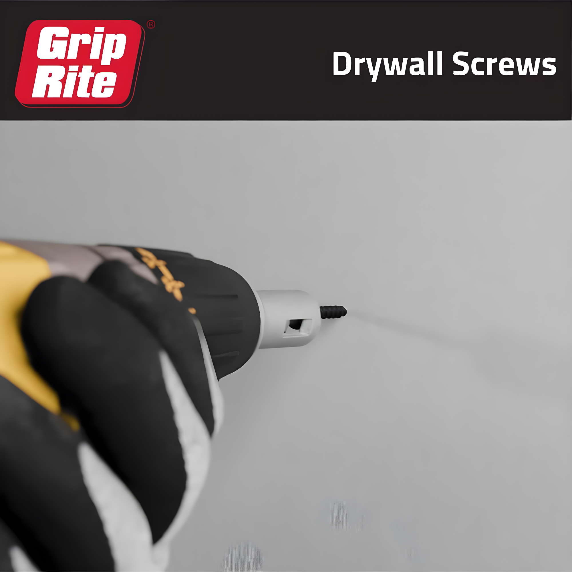Grip-Rite No. 6 X 1-5/8 in. L Phillips Drywall Screws 1 lb 200 pk