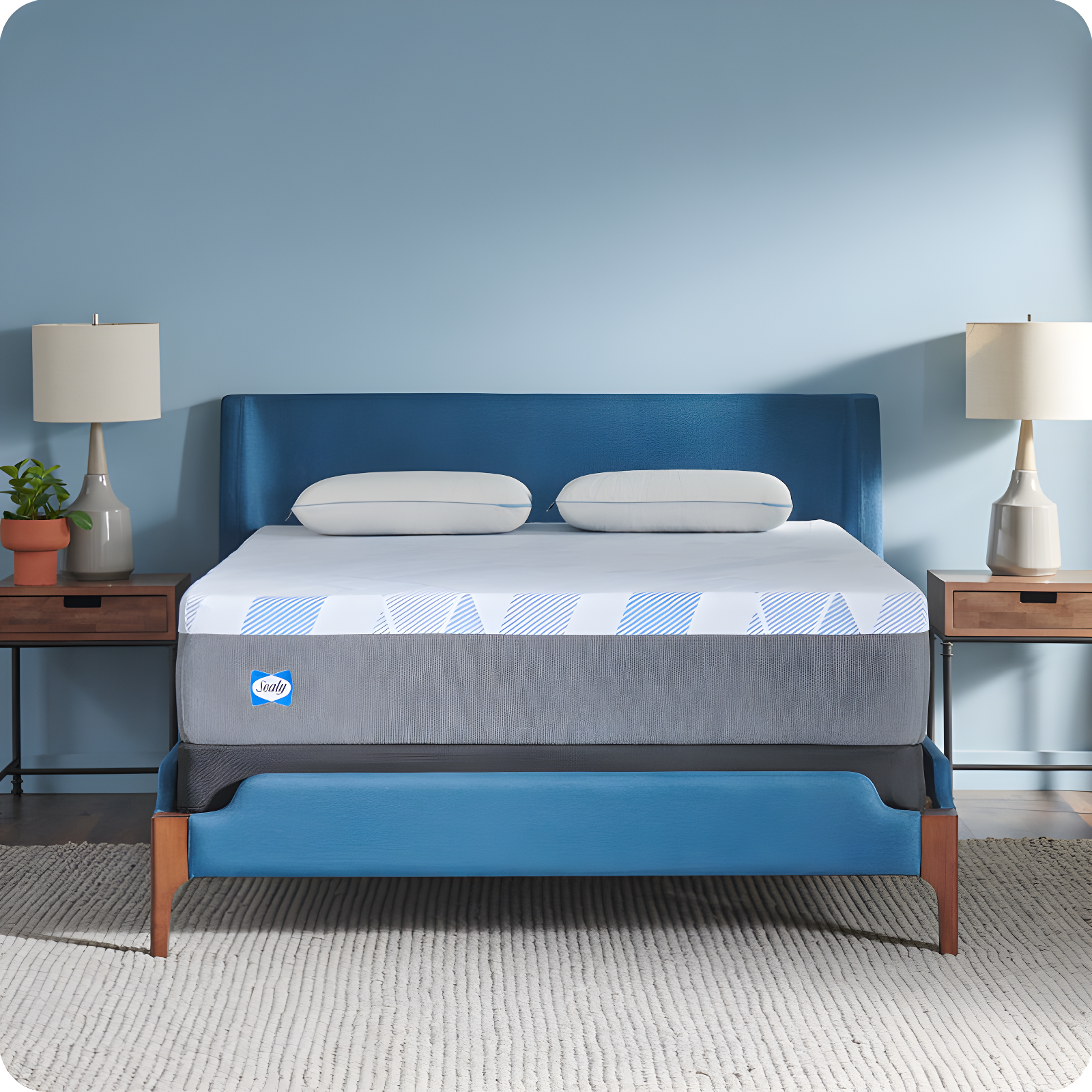 Sealy Sealy Dreamlife 12” Medium Hybrid Mattress-in-a-Box