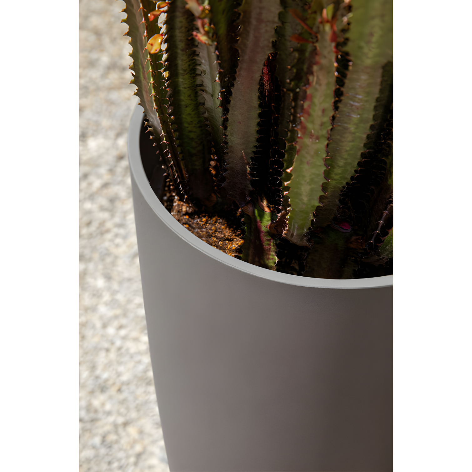 Mason Series Selena Planter