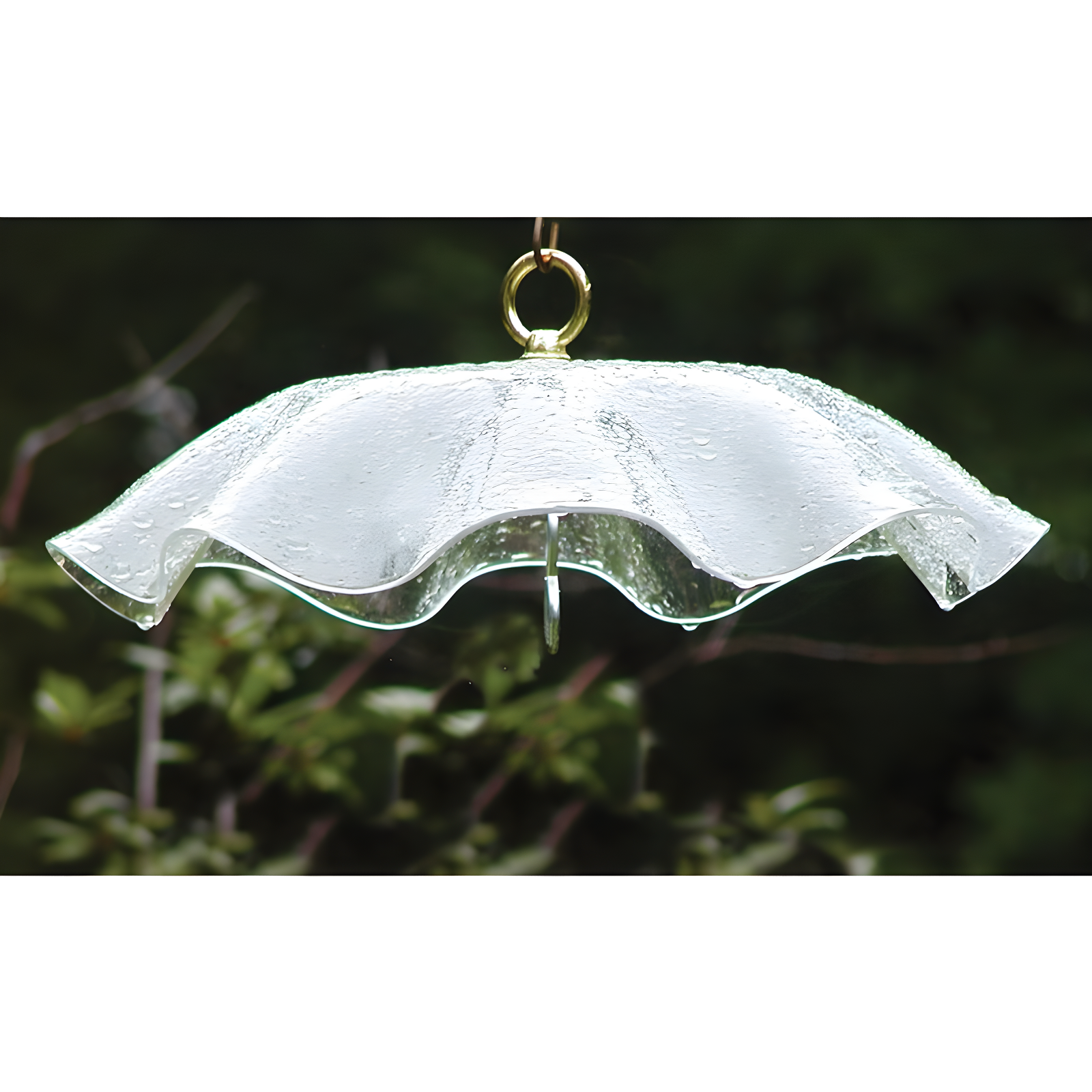 Weather-Resistant Acrylic Bird Weatherguard Cover