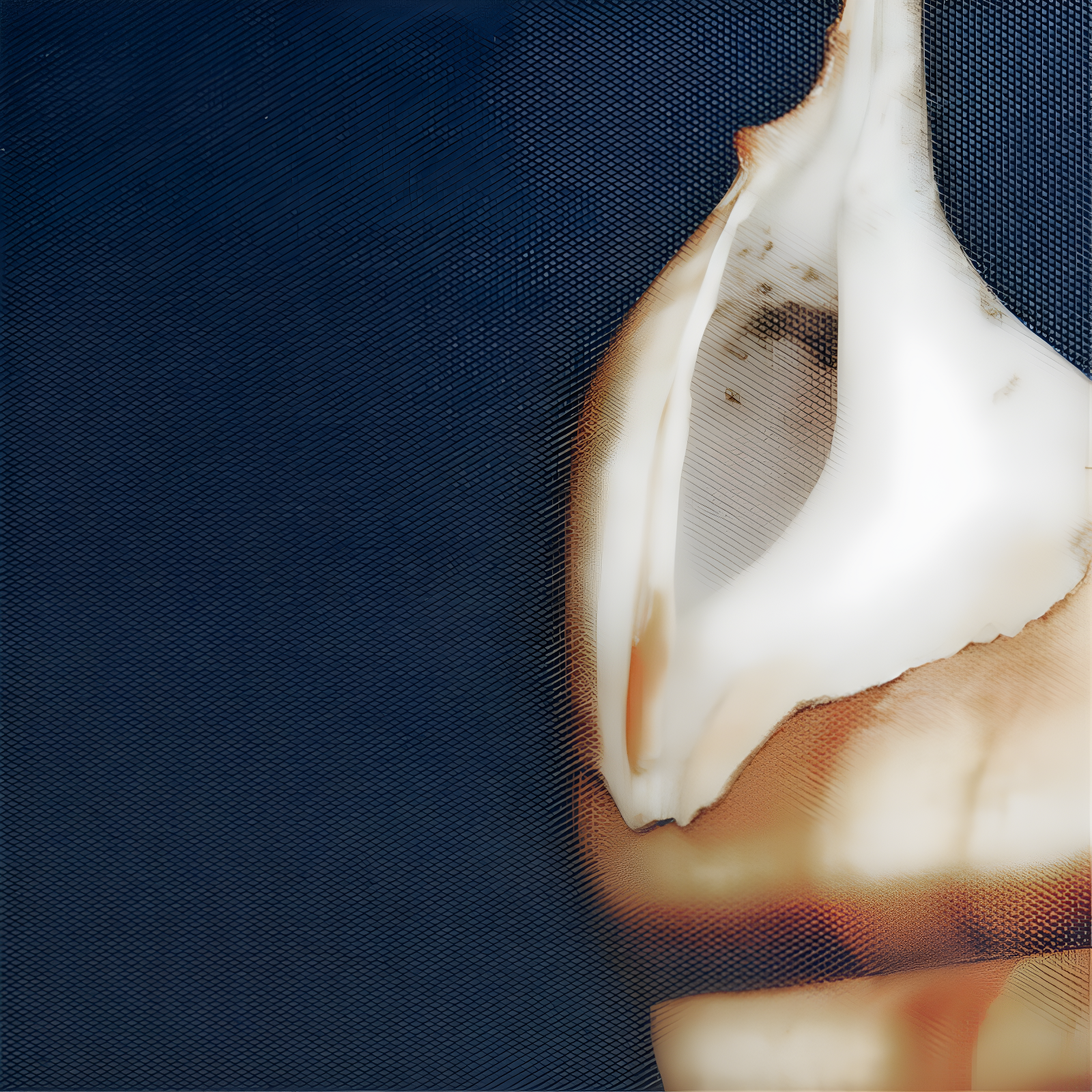 Highland Dunes " Ocean Seashells " by Julie Greenwood 4 - Pieces