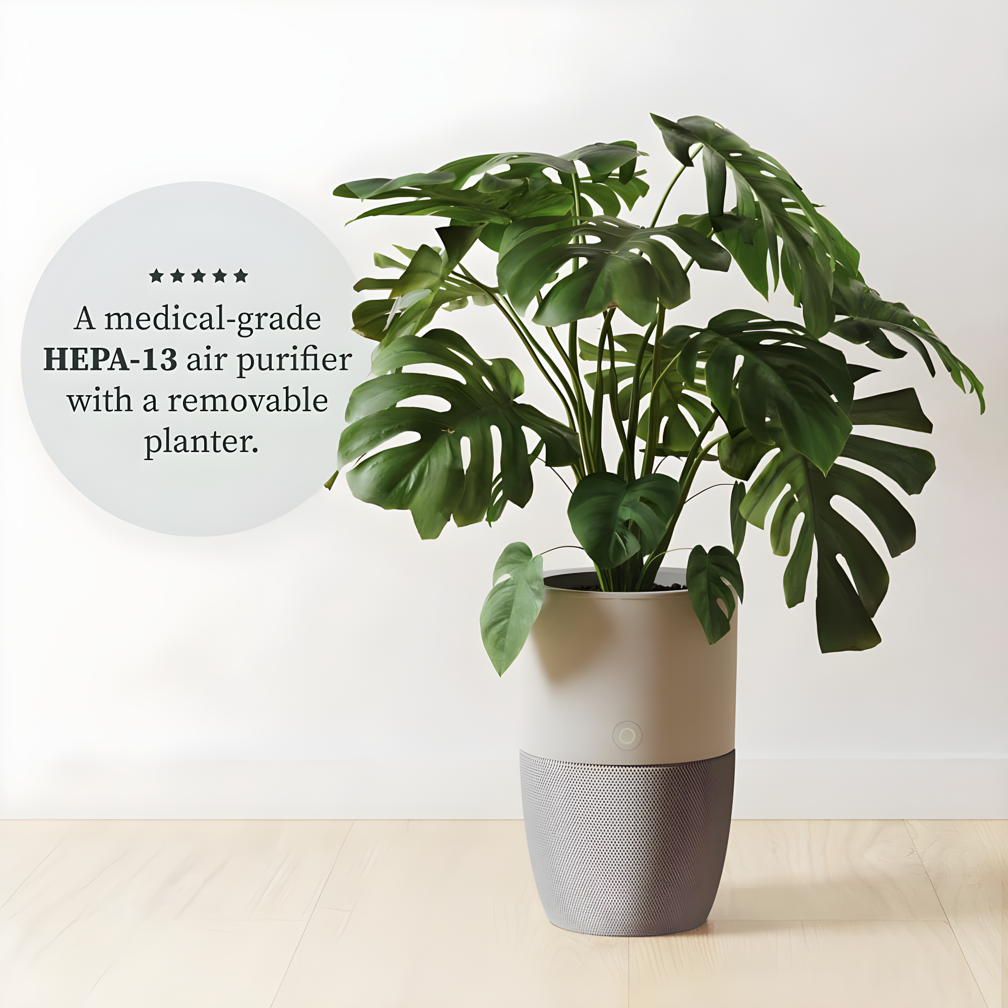 Dupray Dupray Personal Air Purifier with True HEPA Filter for 1517 Cubic Feet