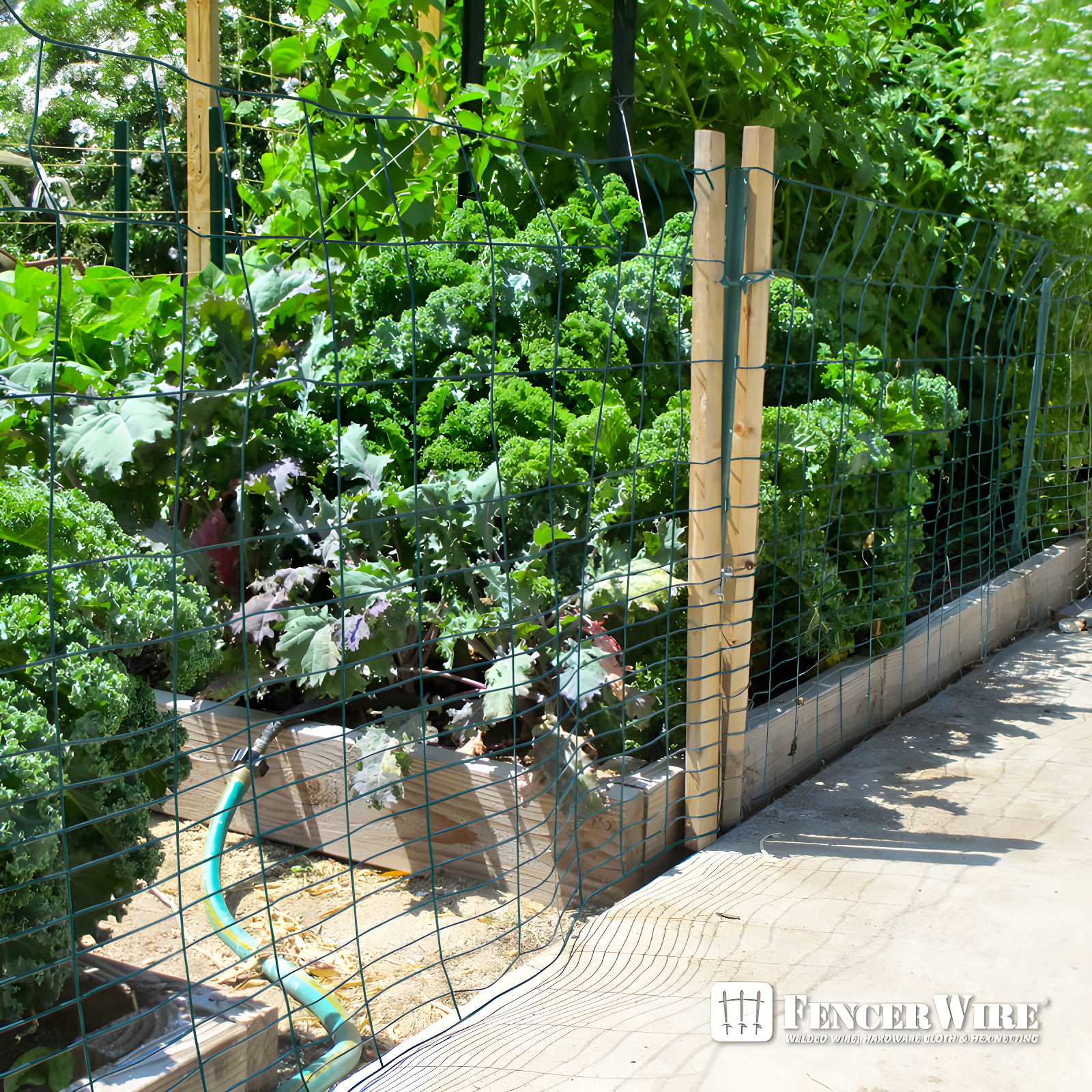 Fencer Wire Fencer Wire Vinyl Coated 16 Gauge Rabbit Guard Fence, Poultry Outdoor Fencing Barrier Wire Roll