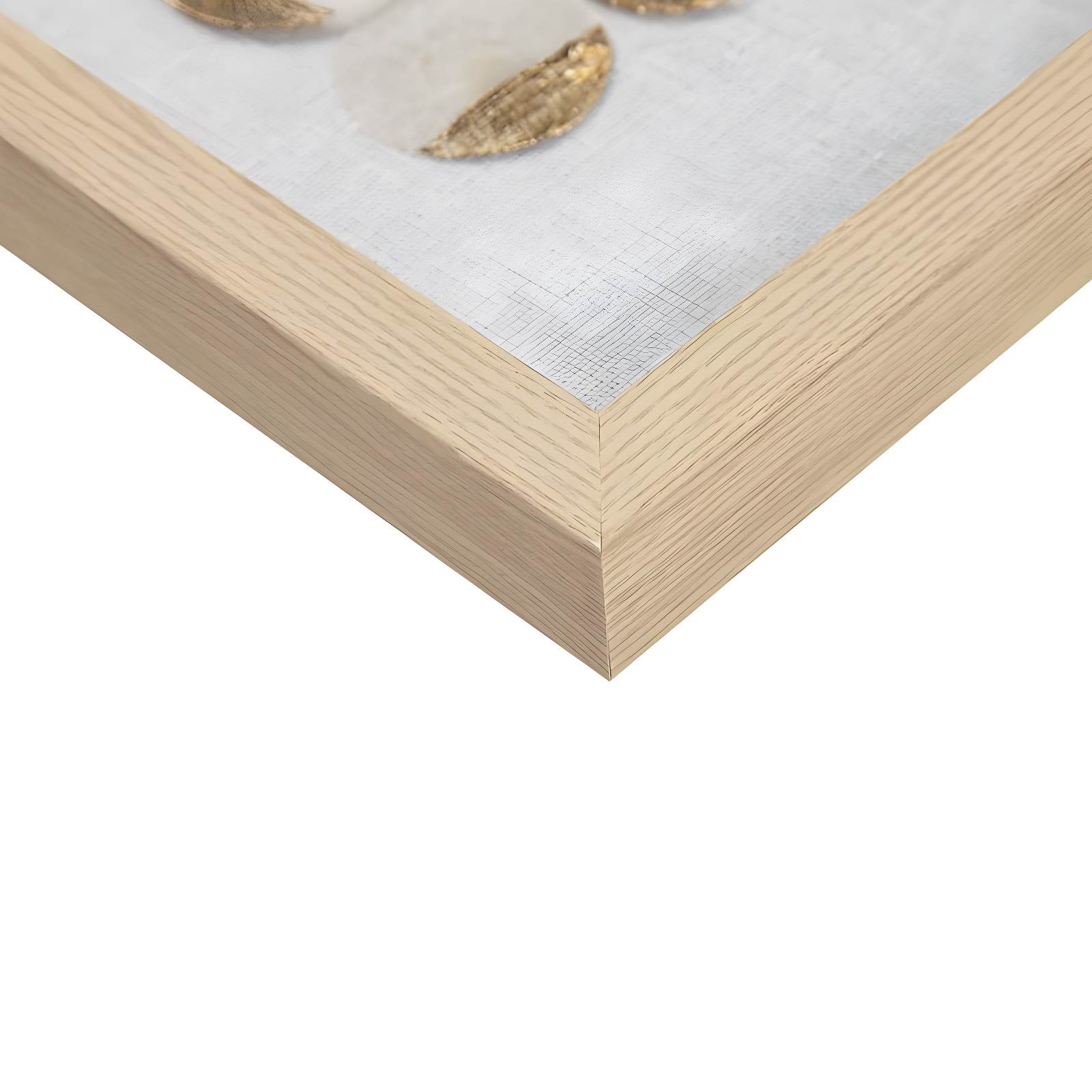 Mercury Row® Zeringue Emblem Natural Capiz with Gold Foil Shadowbox Wall Décor (Set of 2)