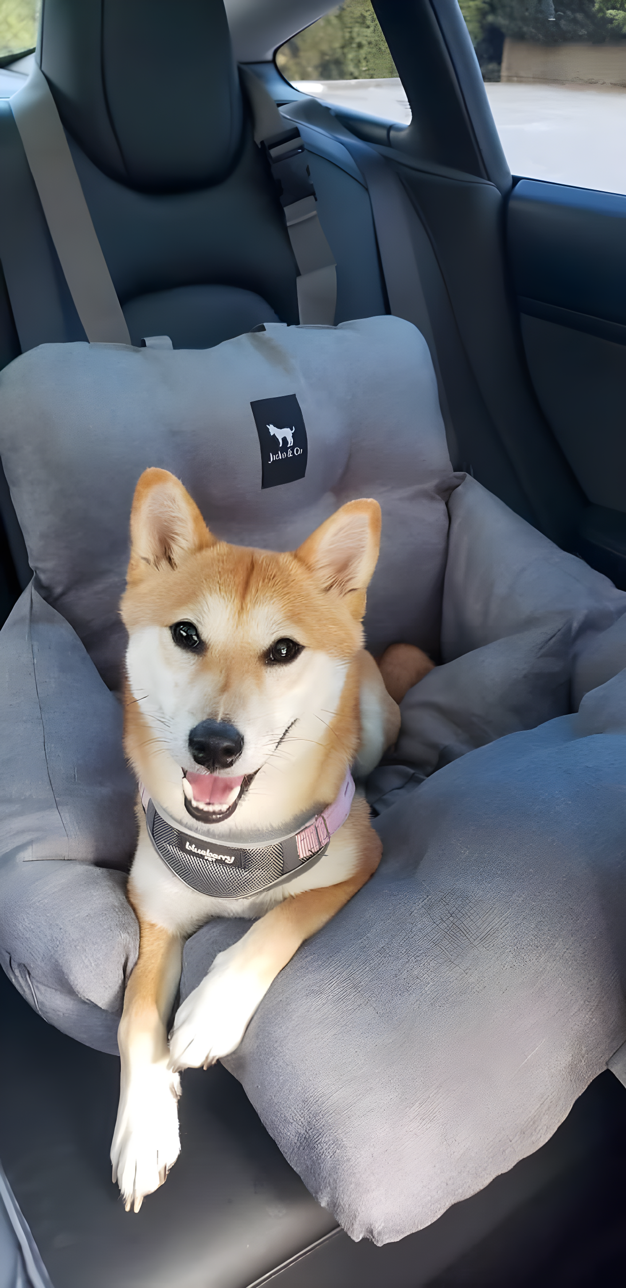 Premium Dog Car Seat & Booster Seat for Small & Medium Pets Under 30lbs, Puppies, Cats/Travel Carrier Bed & Bag, Front/Back Seat w/Clip-On Leash & Storage Pockets, Water Resistant (Grey)