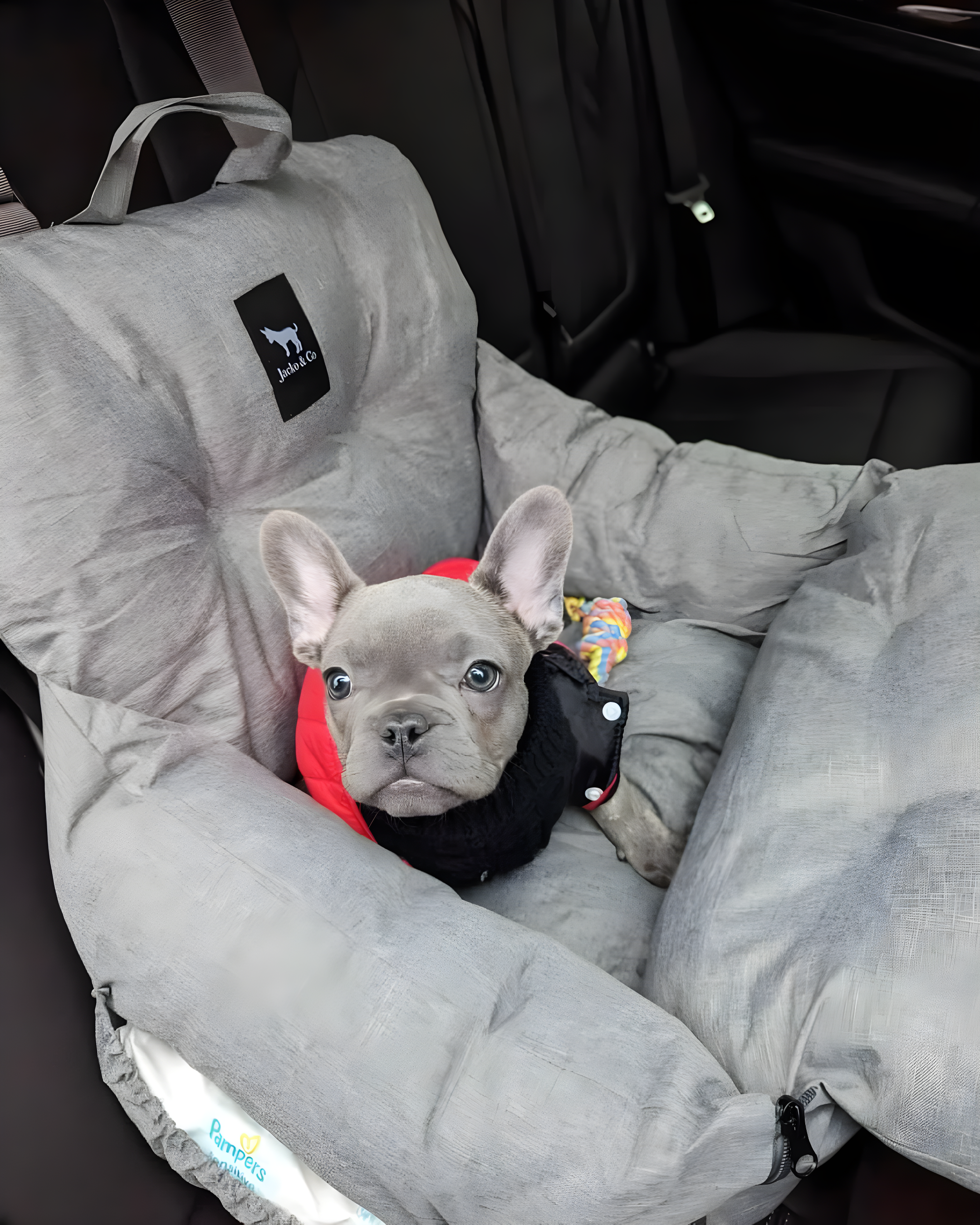 Premium Dog Car Seat & Booster Seat for Small & Medium Pets Under 30lbs, Puppies, Cats/Travel Carrier Bed & Bag, Front/Back Seat w/Clip-On Leash & Storage Pockets, Water Resistant (Grey)