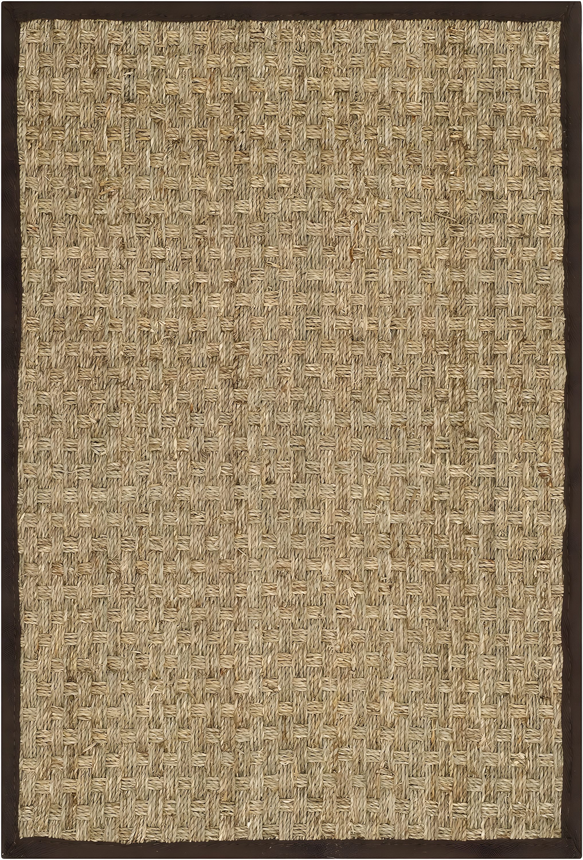 Natural Fiber NF114 Power Loomed Indoor Accent Rug - Natural/Dark Brown - 2'x3' - Safavieh.