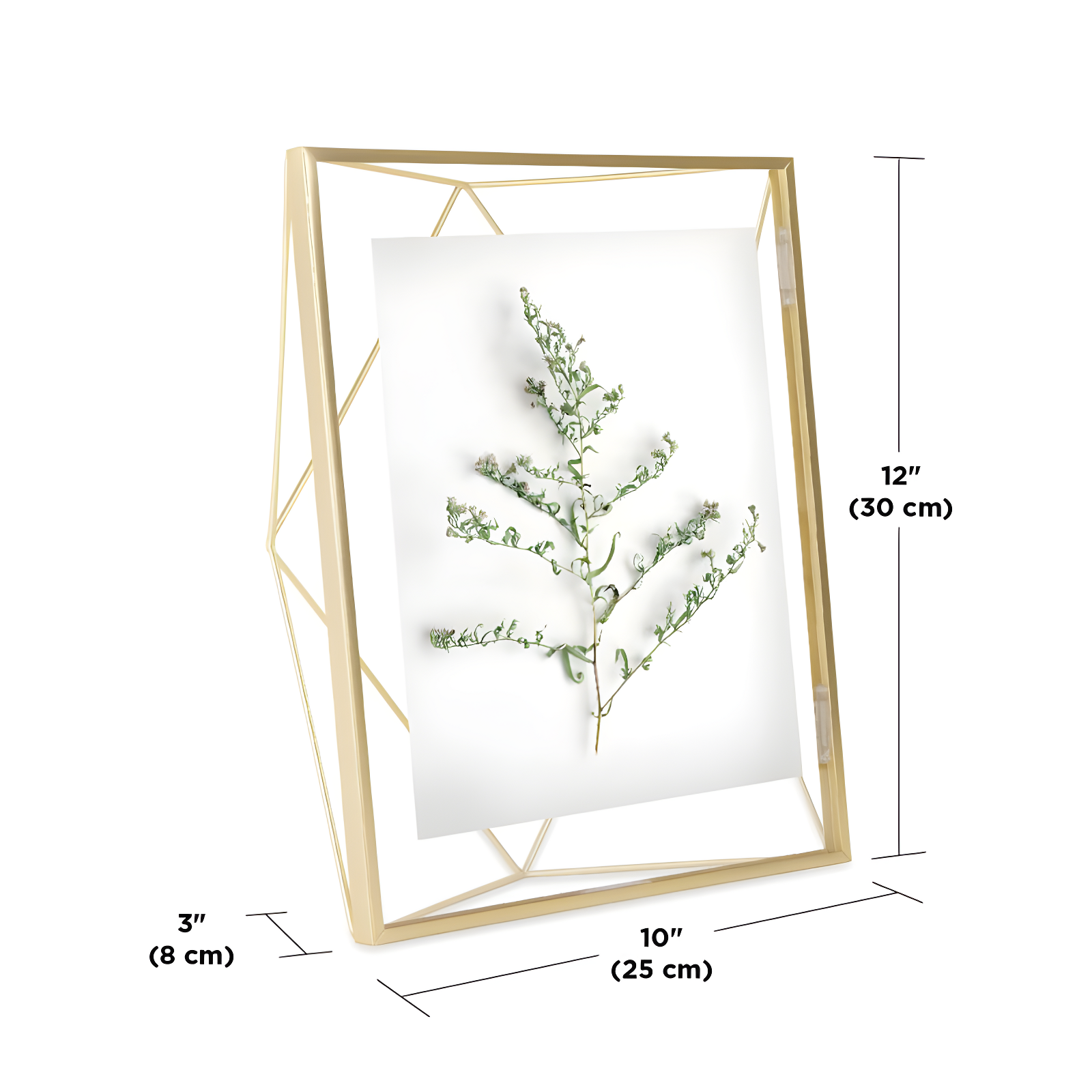 Umbra 8"x10" Prisma Picture Frame Matte Brass: Modern Steel Construction, Freestanding or Wall Mount, Novelty Shape