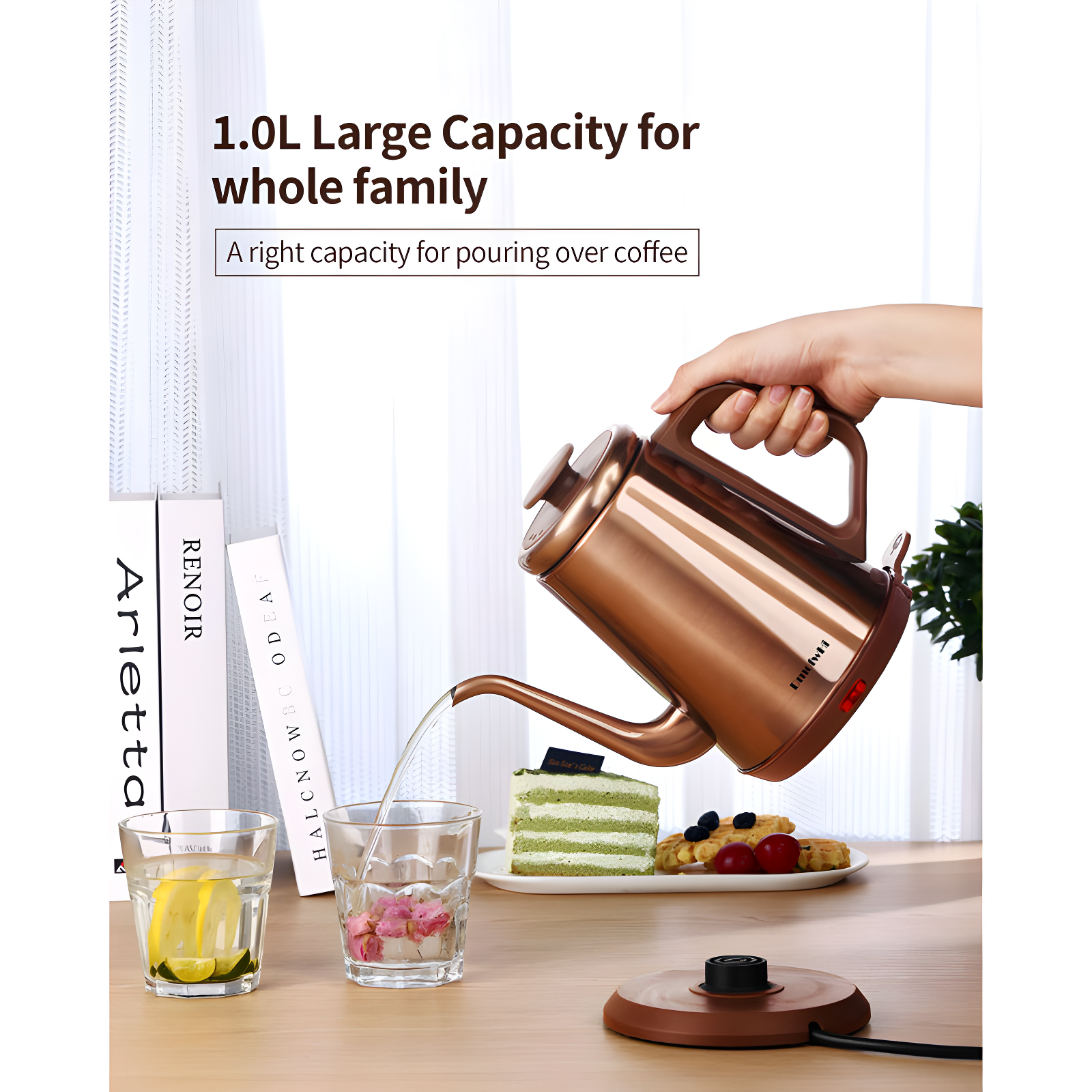 SEGUIRA Stainless Steel Electric Tea Kettle