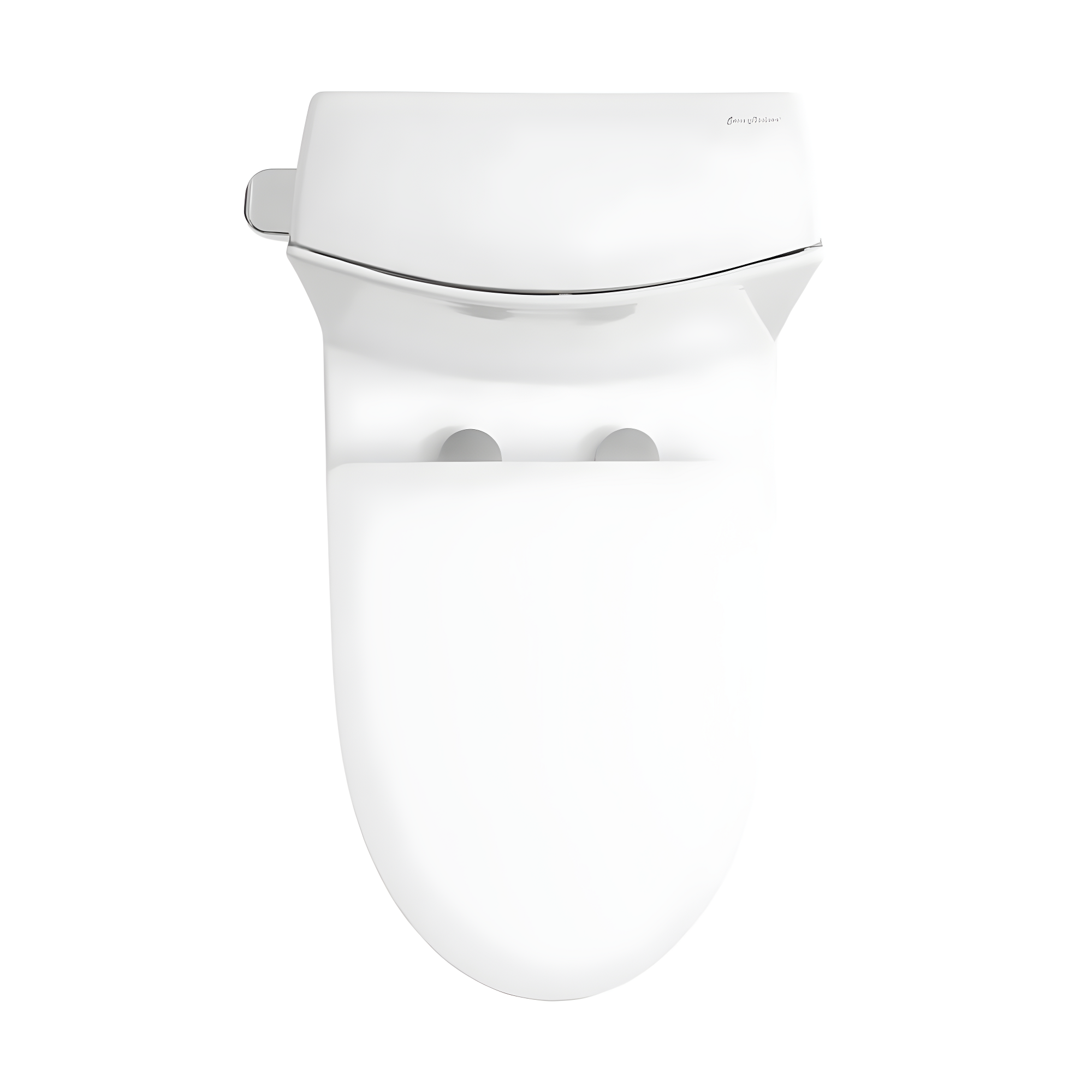 St. Tropez One Piece Elongated Toilet Dual Vortex Flush 1.6 GPF