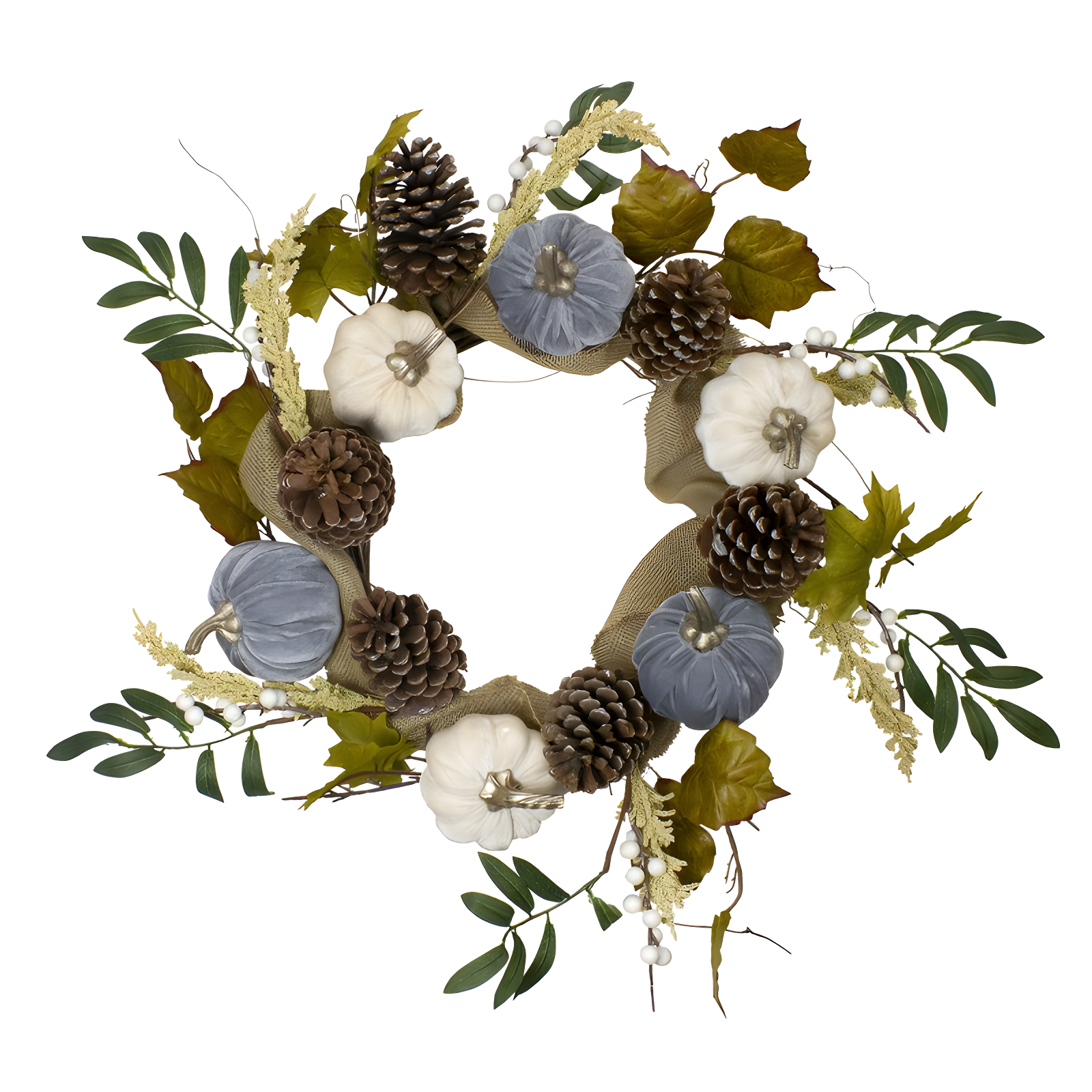 Northlight Seasonal Pumpkins Foliage Grapevine Artificial Thanksgiving Wreath 24-Inch Unlit