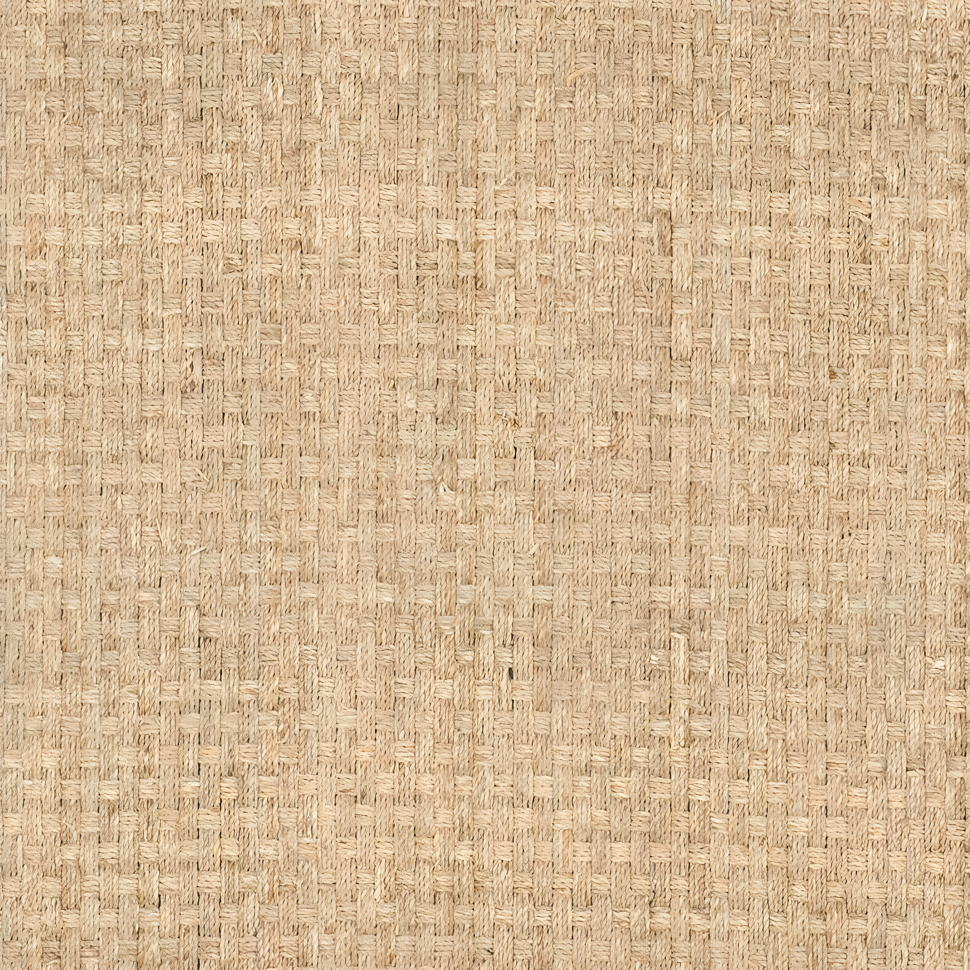 Natural Fiber NF114 Power Loomed Indoor Area Rug - Natural/Black - 6'x6' - Safavieh.
